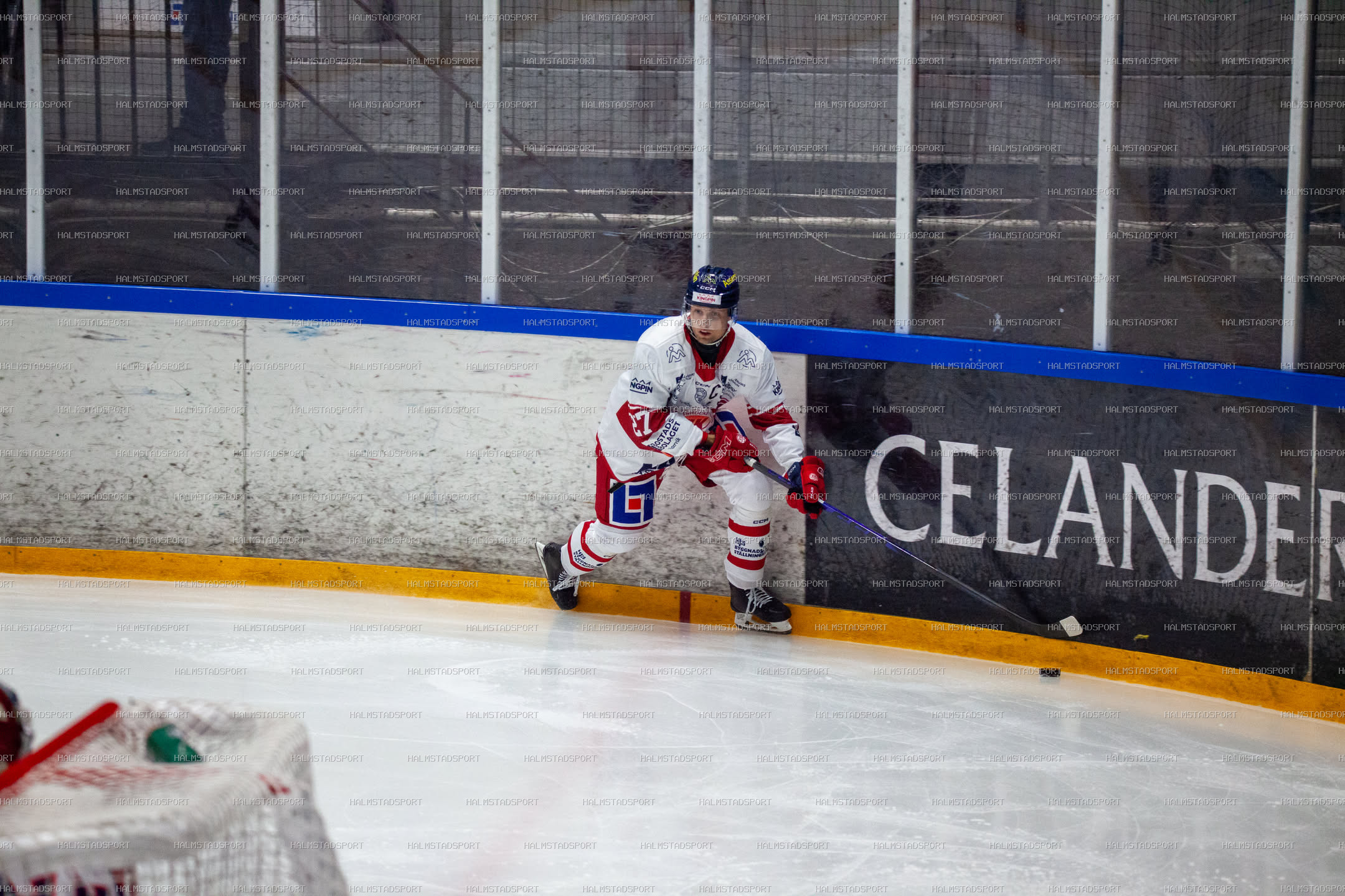 Halmstad Hammers - Västerviks IK · Foto: Halmstadsport