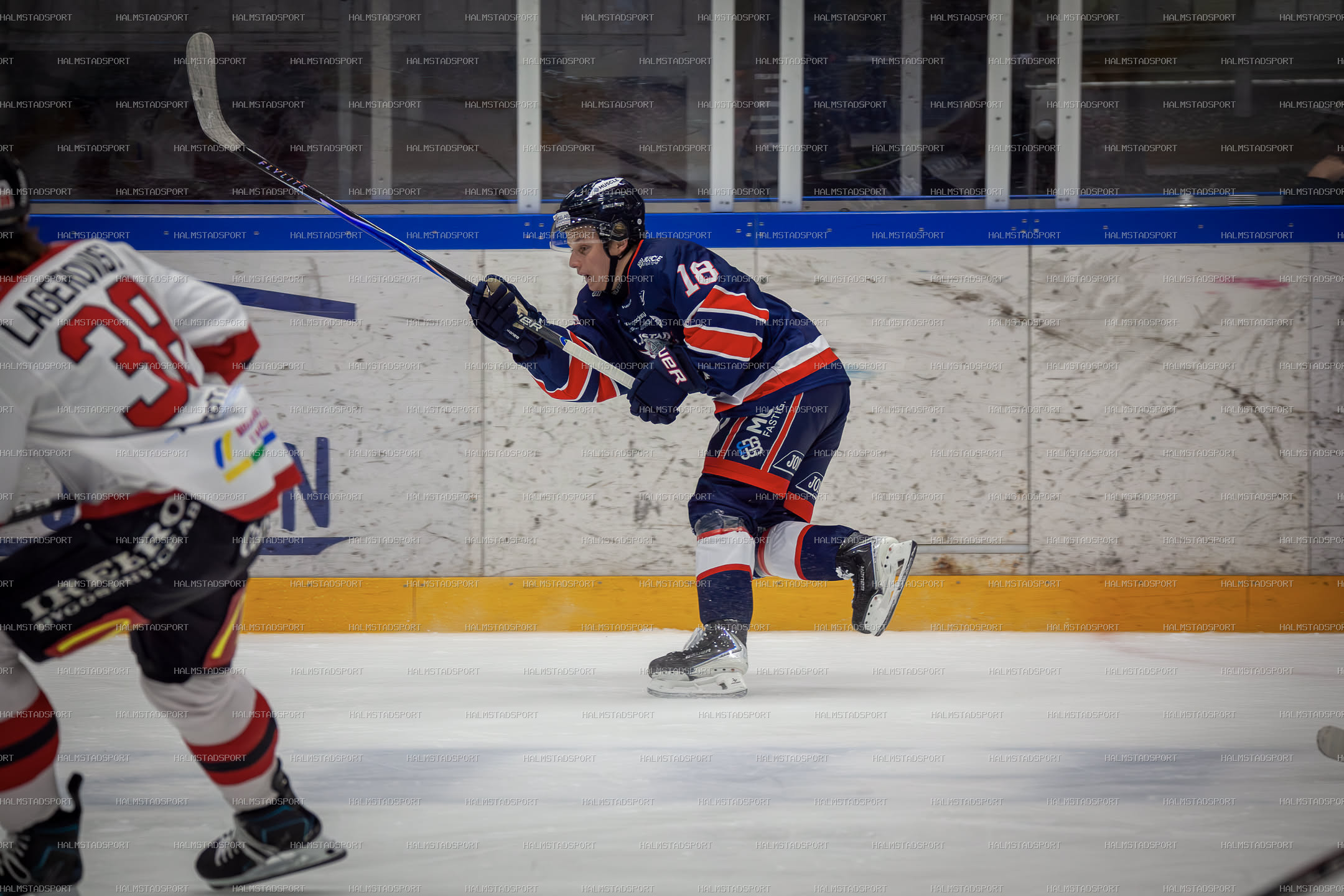 Halmstad Hammers - Mjölby HC · Foto: Halmstadsport