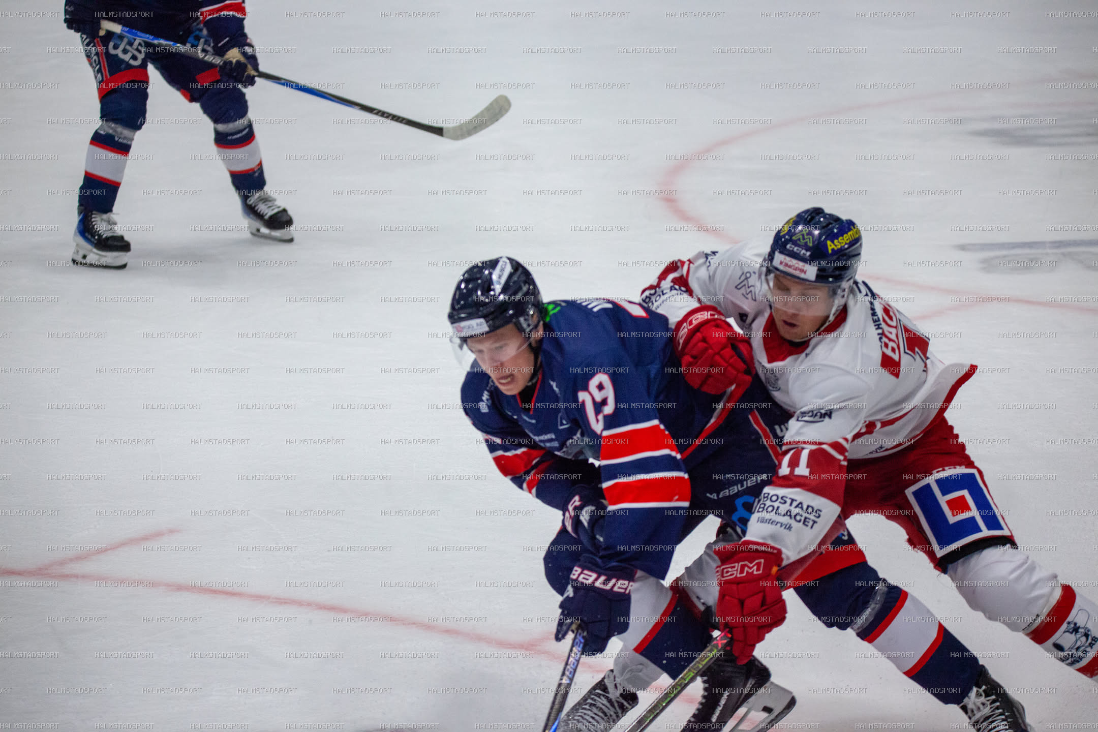 Halmstad Hammers - Västerviks IK · Foto: Halmstadsport