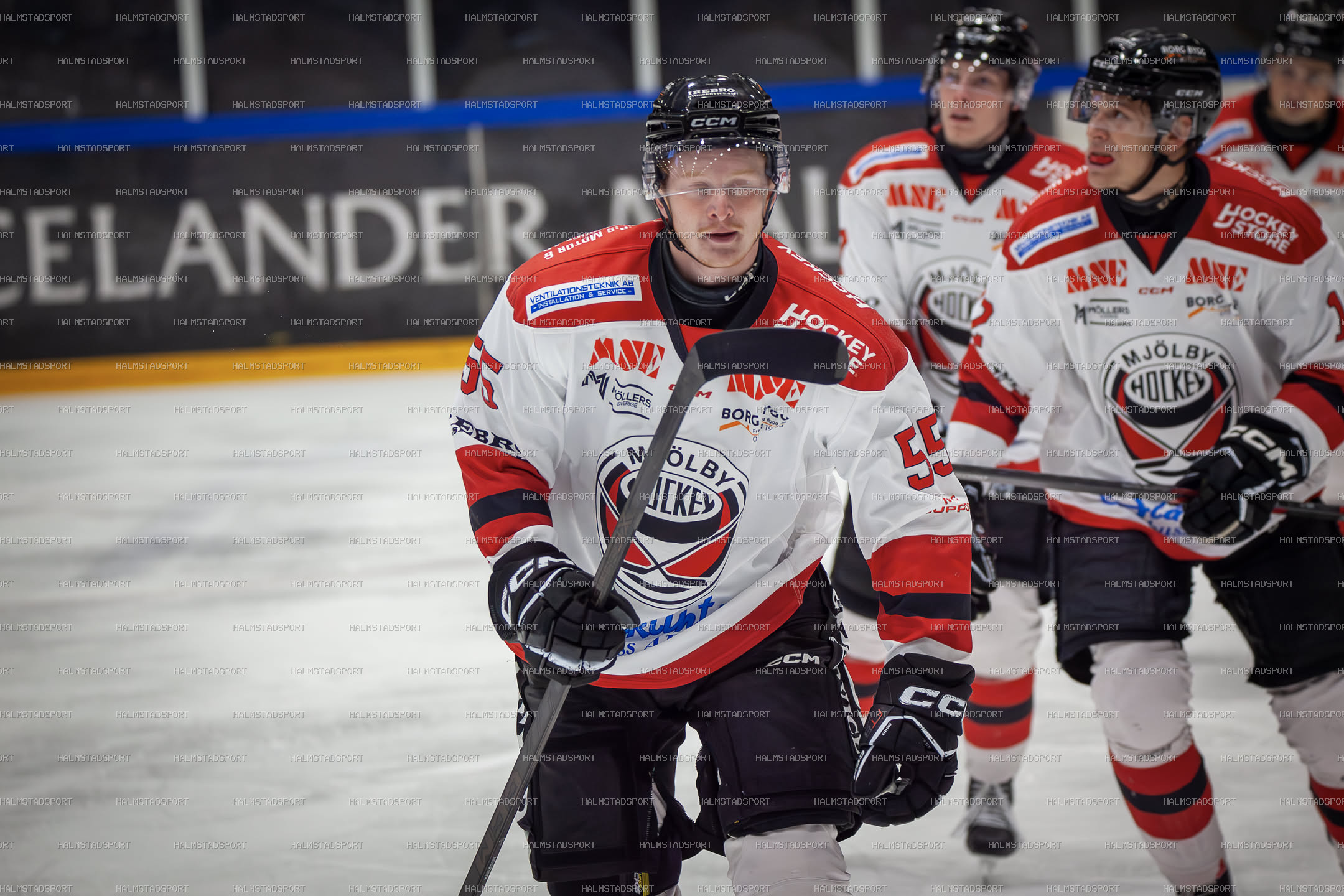 Halmstad Hammers - Mjölby HC · Foto: Halmstadsport