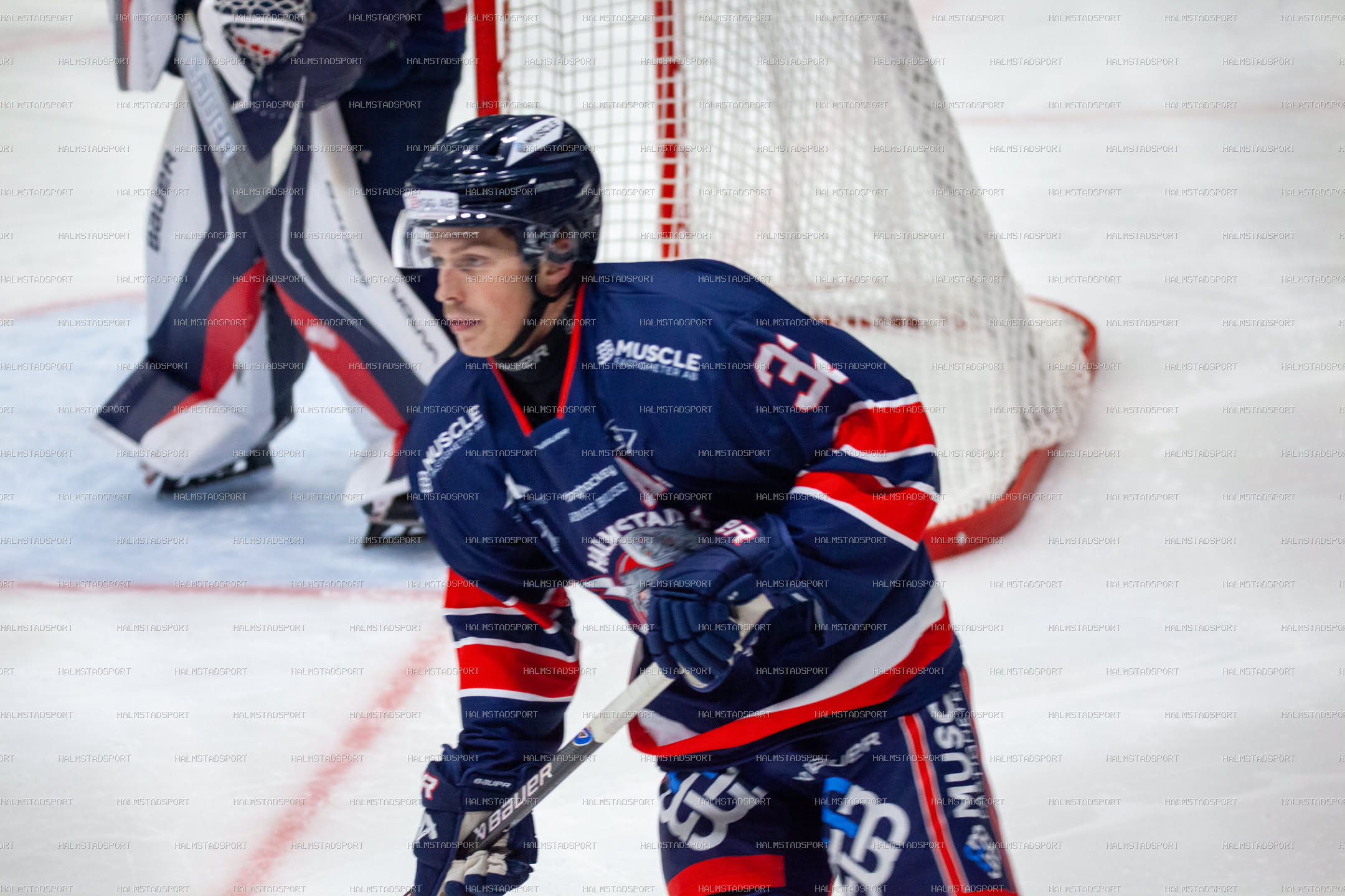 Halmstad Hammers - Västerviks IK · Foto: Halmstadsport