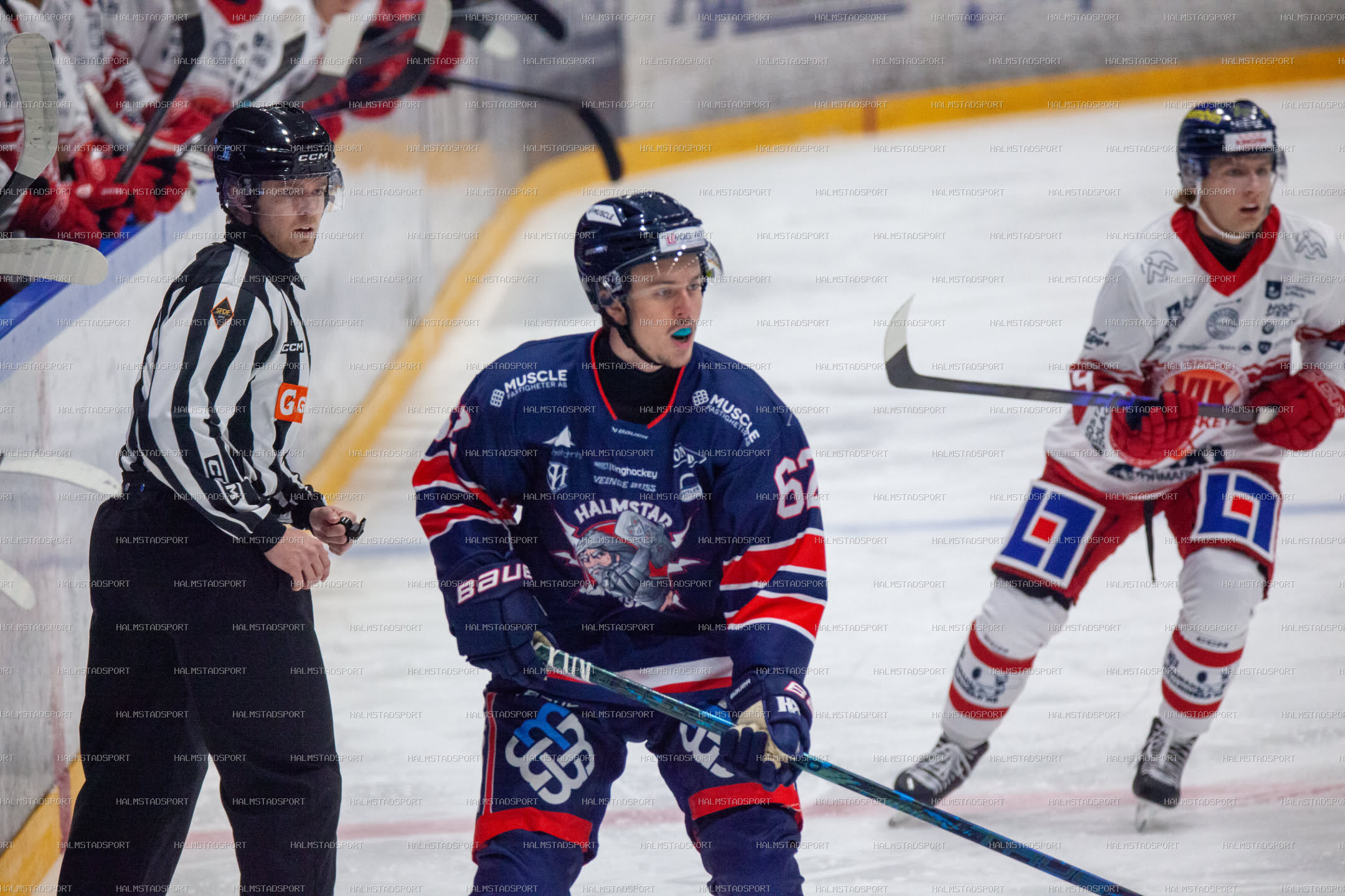 Halmstad Hammers - Västerviks IK · Foto: Halmstadsport
