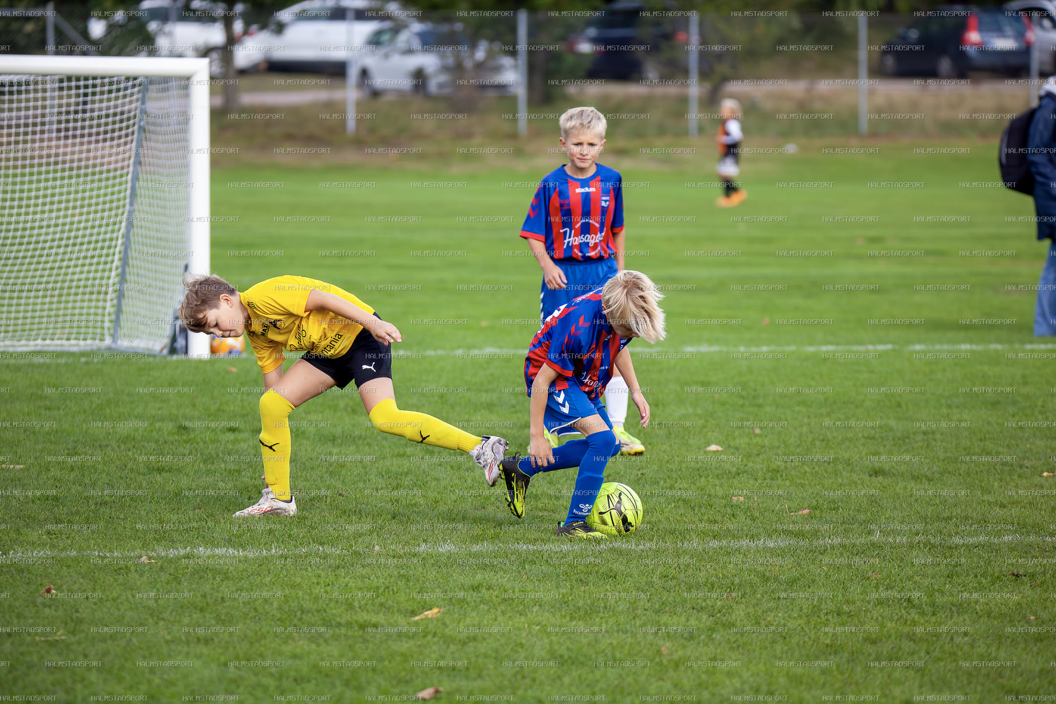 Leikin 8 · Foto: Halmstadsport