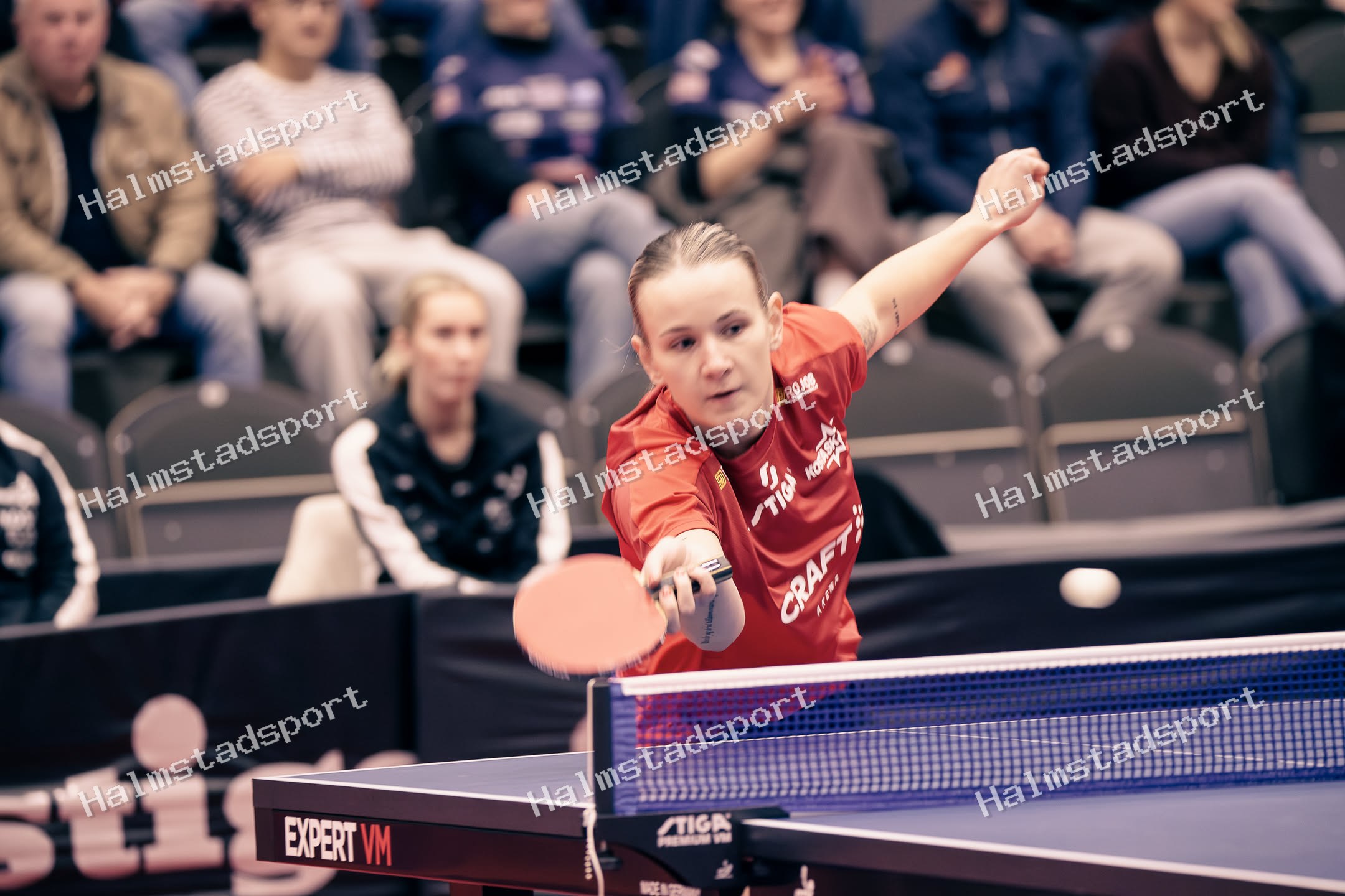 HBTK - Kosta · Foto: Halmstadsport