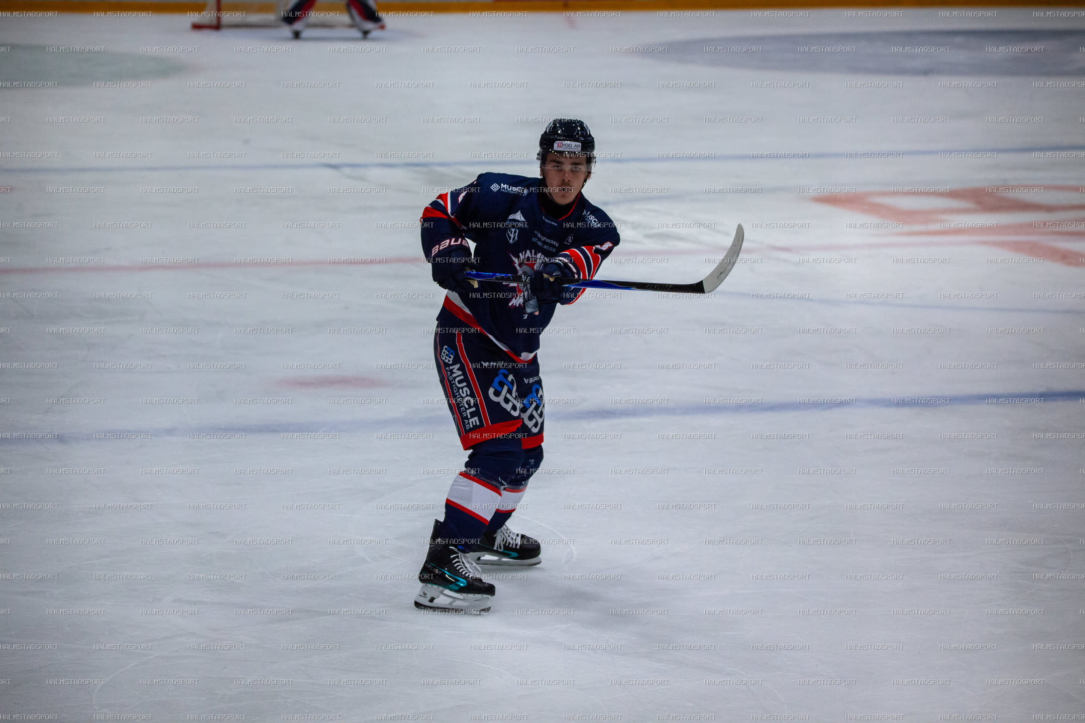 Halmstad Hammers - Västerviks IK · Foto: Halmstadsport