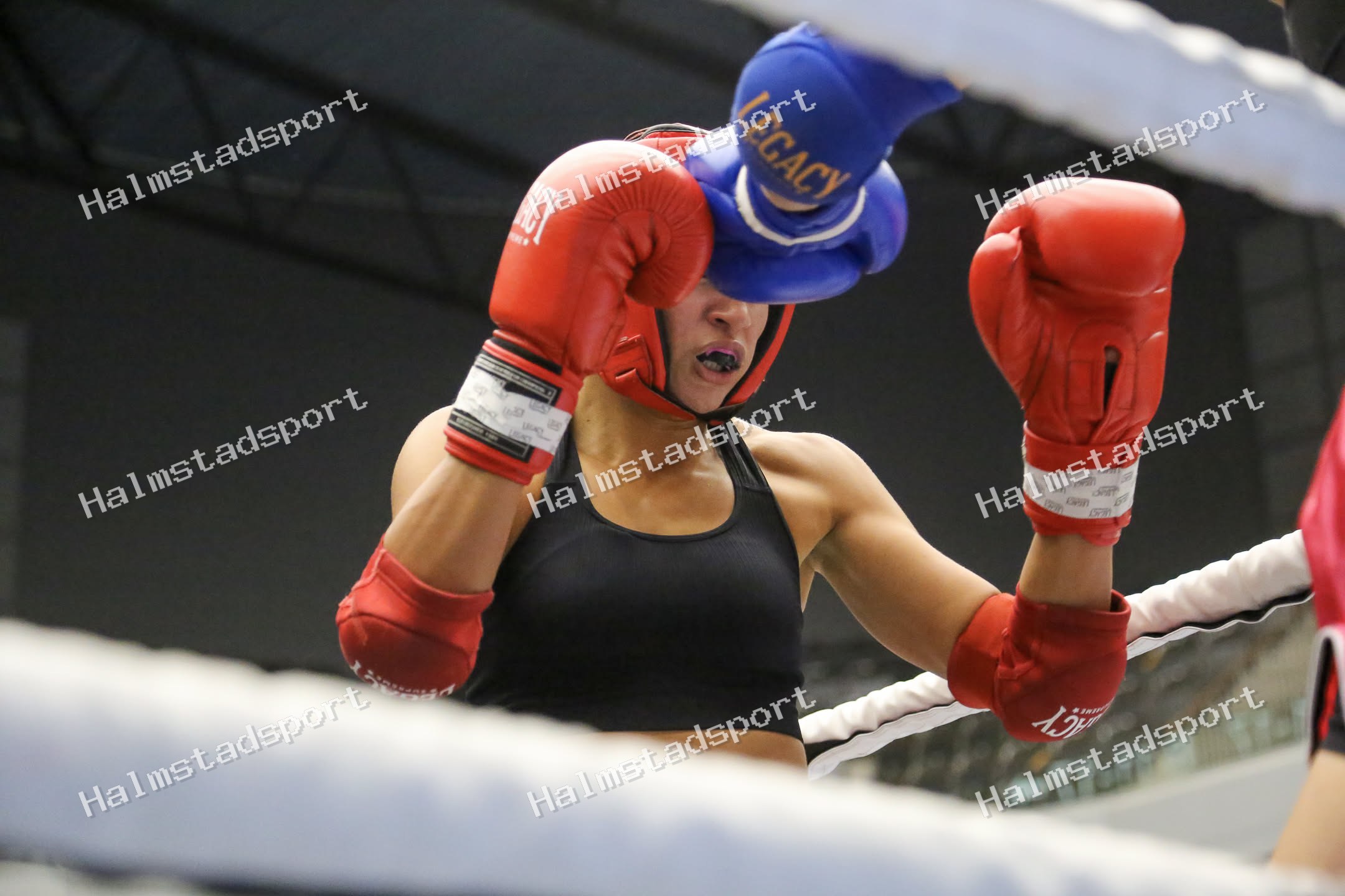 HMT Battle 2026 · Foto: Halmstadsport