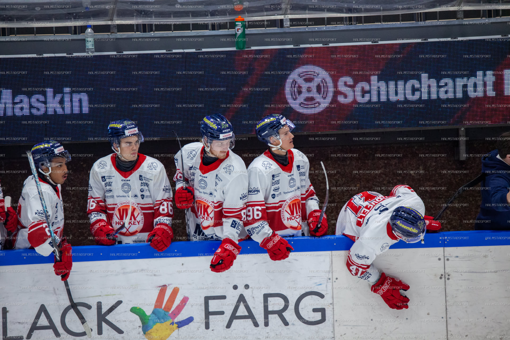 Halmstad Hammers - Västerviks IK · Foto: Halmstadsport