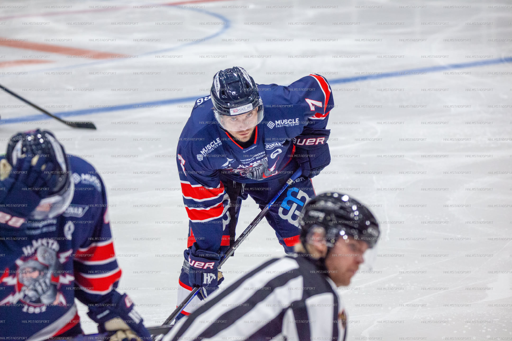 Halmstad Hammers - Västerviks IK · Foto: Halmstadsport
