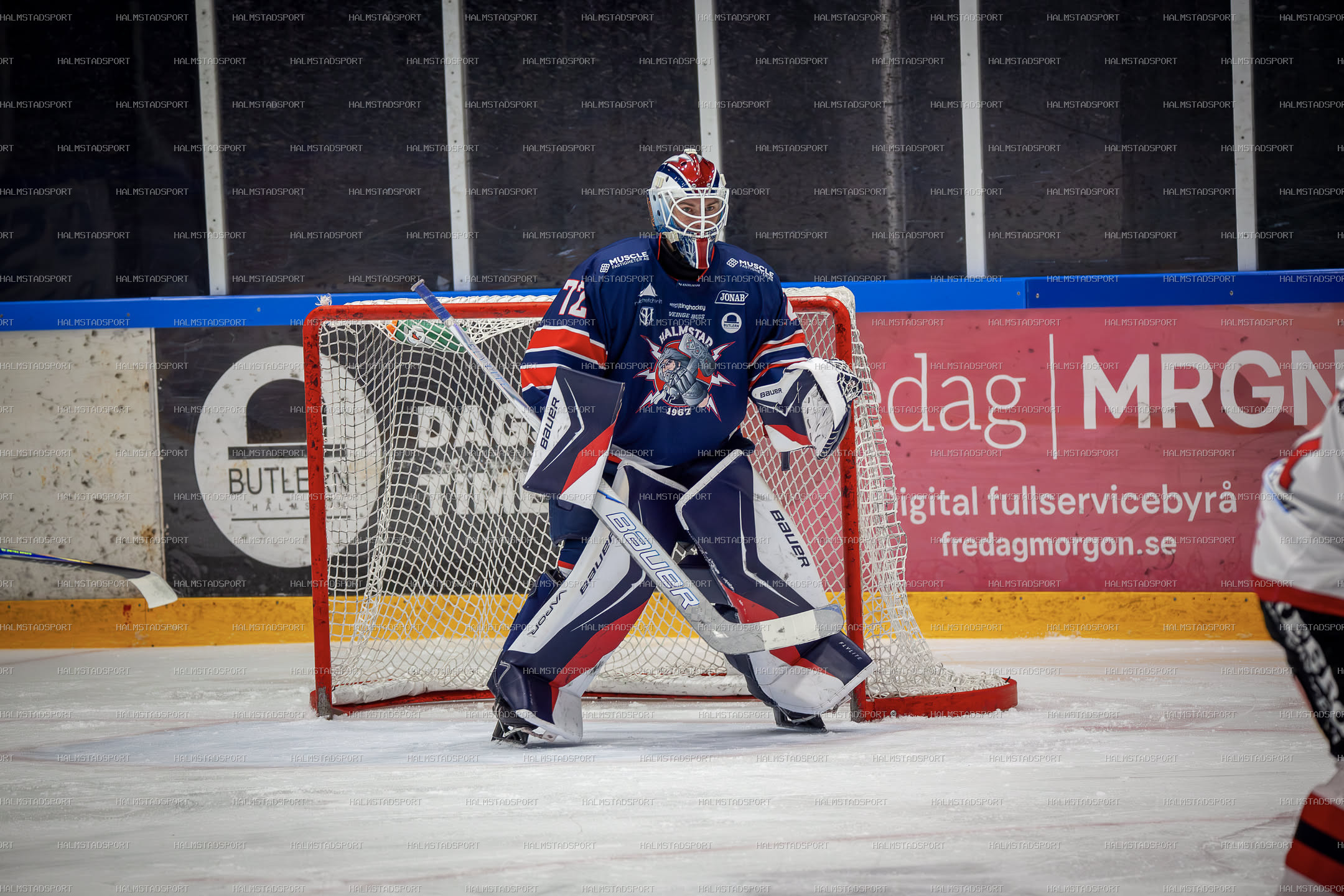 Halmstad Hammers - Mjölby HC · Foto: Halmstadsport