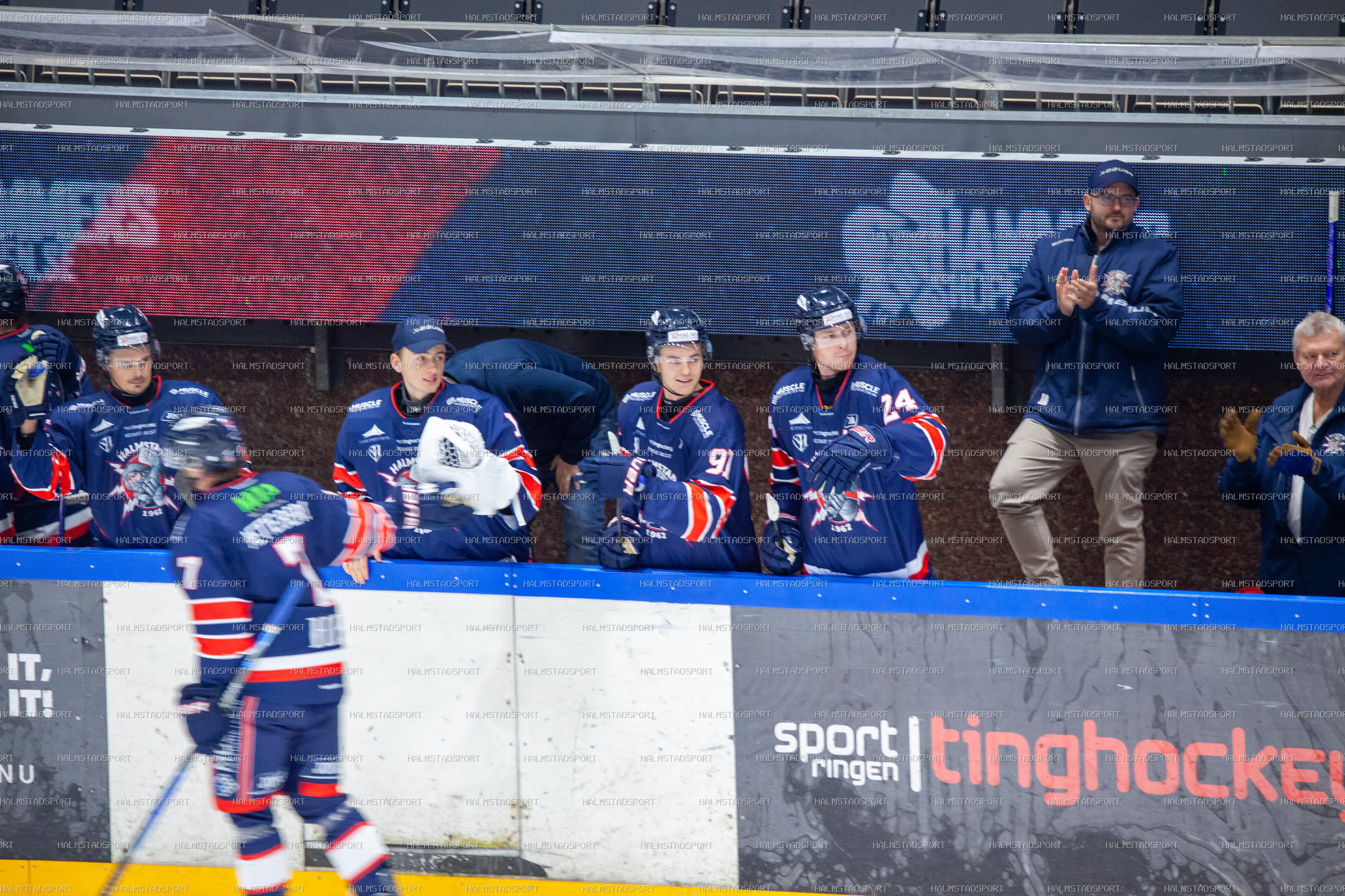 Halmstad Hammers - Västerviks IK · Foto: Halmstadsport