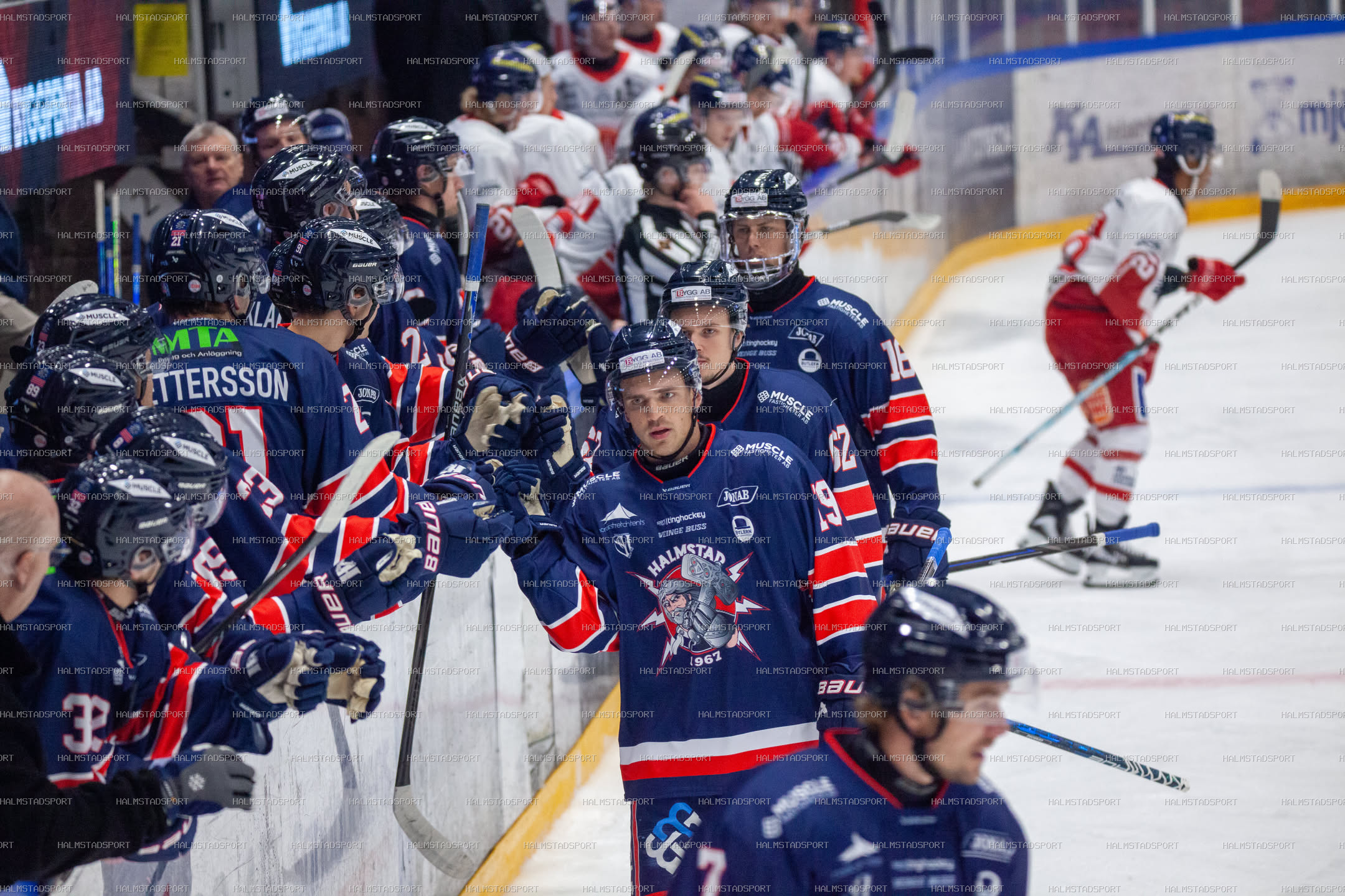 Halmstad Hammers - Västerviks IK · Foto: Halmstadsport