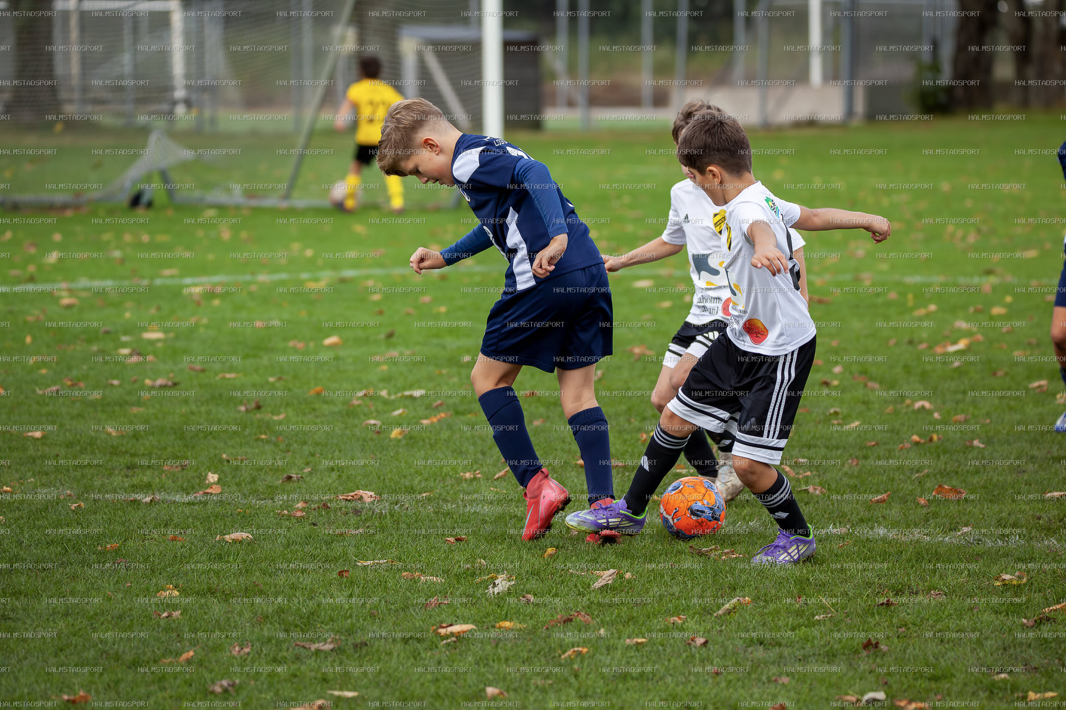 Leikin 8 · Foto: Halmstadsport