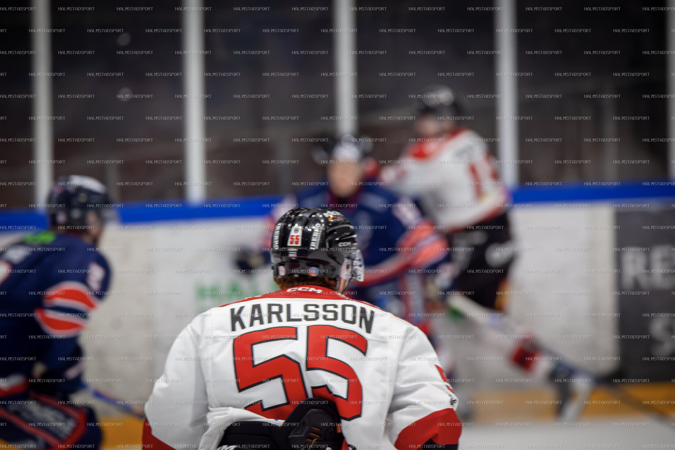 Halmstad Hammers - Mjölby HC · Foto: Halmstadsport
