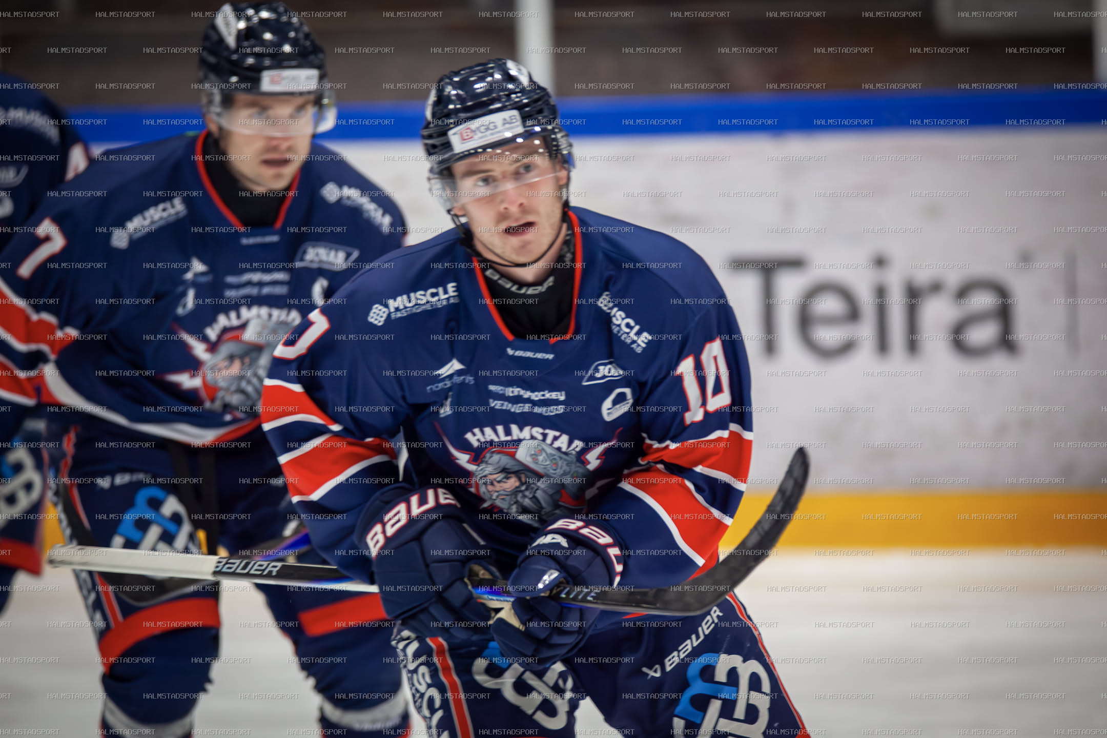 Halmstad Hammers - Mjölby HC · Foto: Halmstadsport