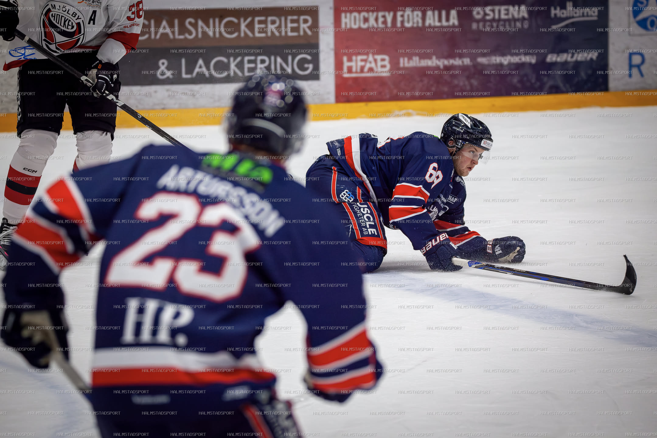Halmstad Hammers - Mjölby HC · Foto: Halmstadsport
