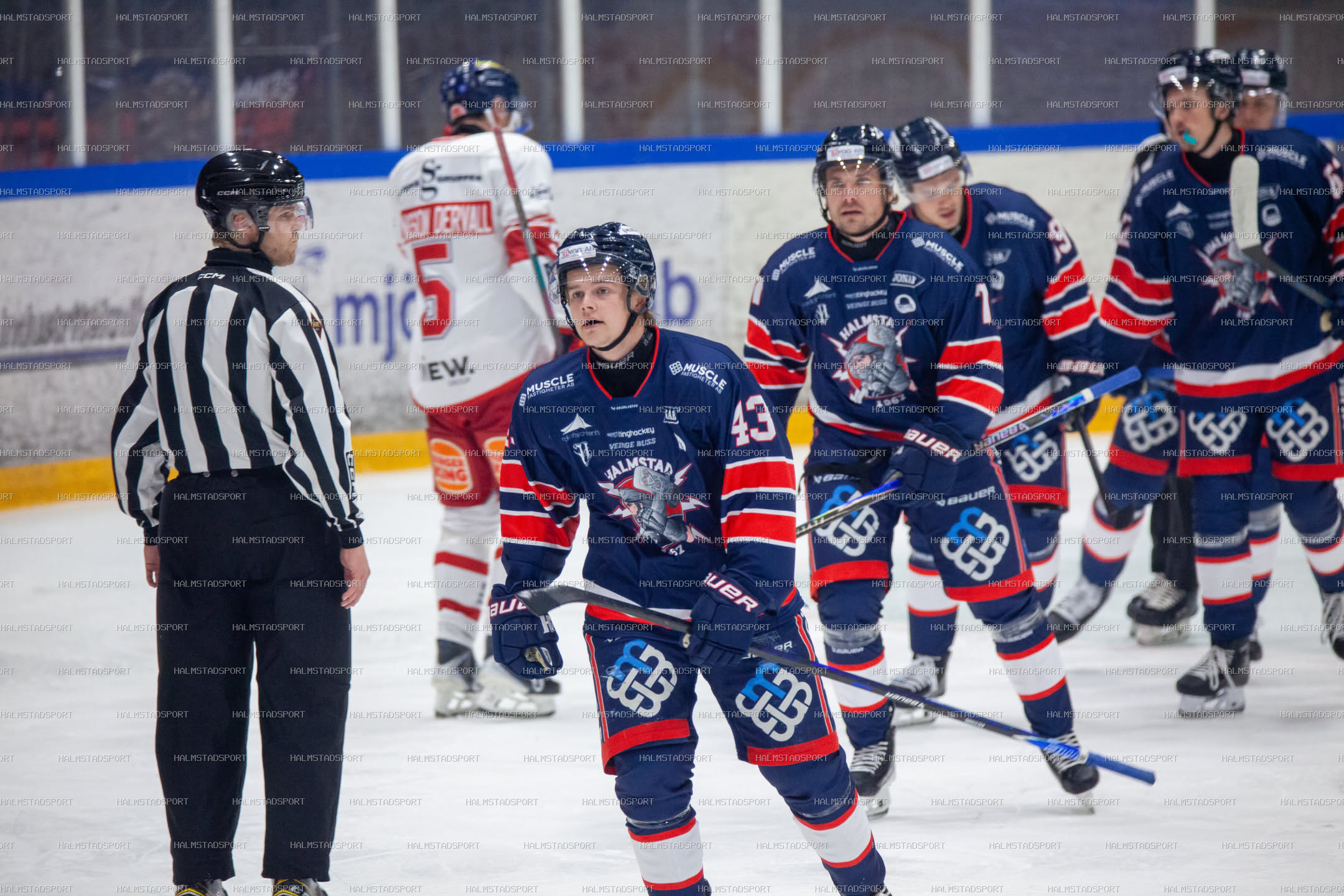 Halmstad Hammers - Västerviks IK · Foto: Halmstadsport