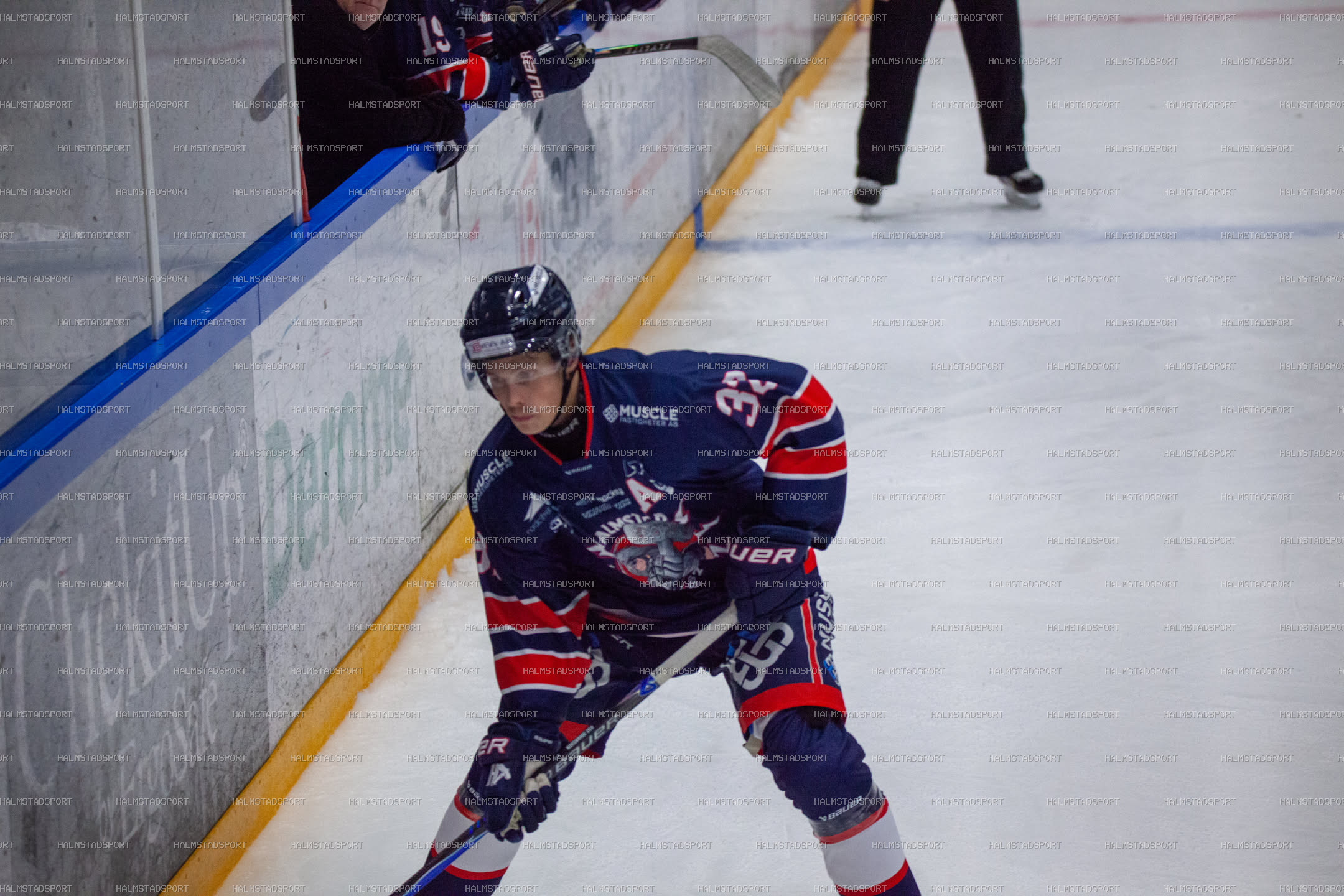 Halmstad Hammers - Västerviks IK · Foto: Halmstadsport