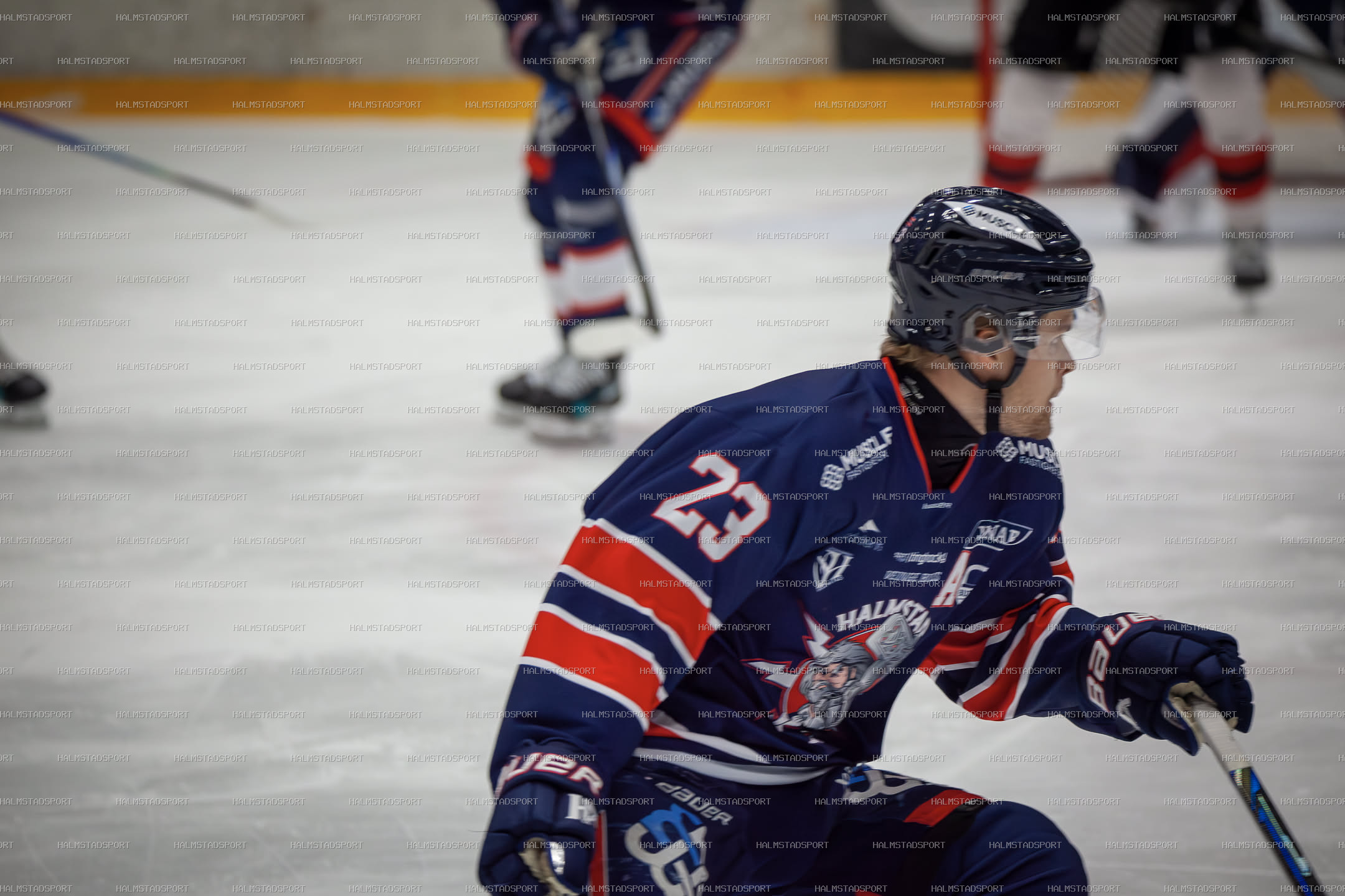 Halmstad Hammers - Mjölby HC · Foto: Halmstadsport