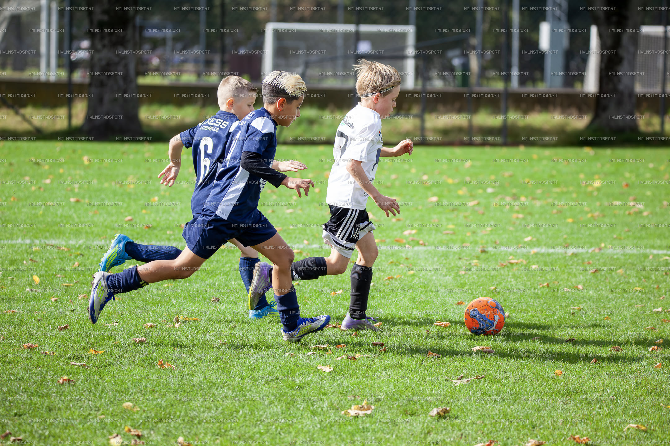 Leikin 8 · Foto: Halmstadsport