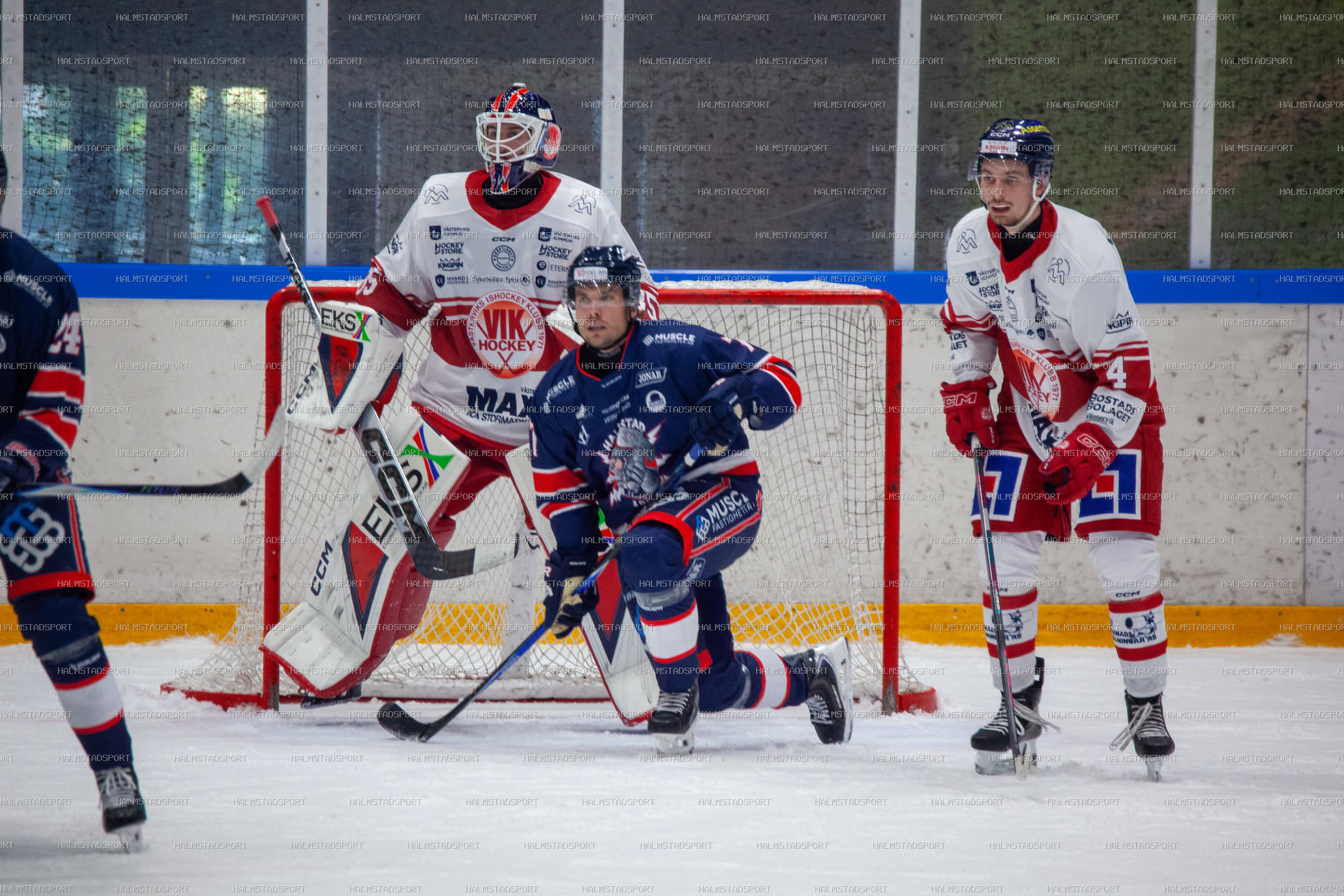Halmstad Hammers - Västerviks IK · Foto: Halmstadsport