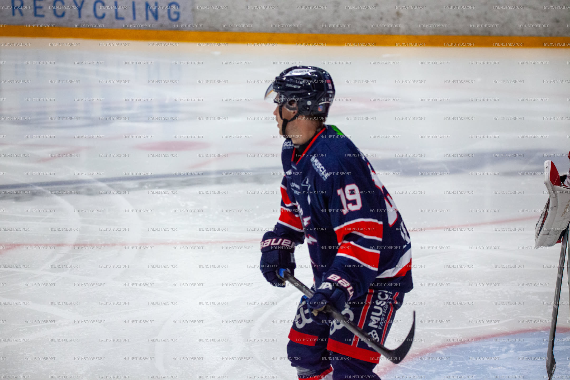 Halmstad Hammers - Västerviks IK · Foto: Halmstadsport