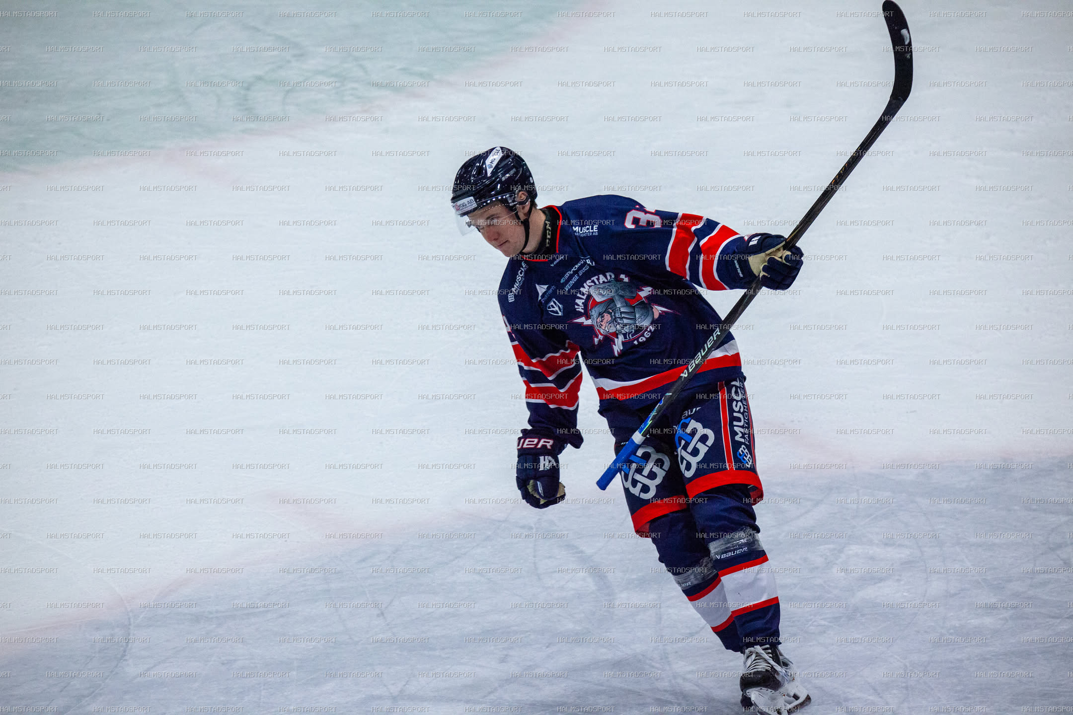 Halmstad Hammers - Västerviks IK · Foto: Halmstadsport