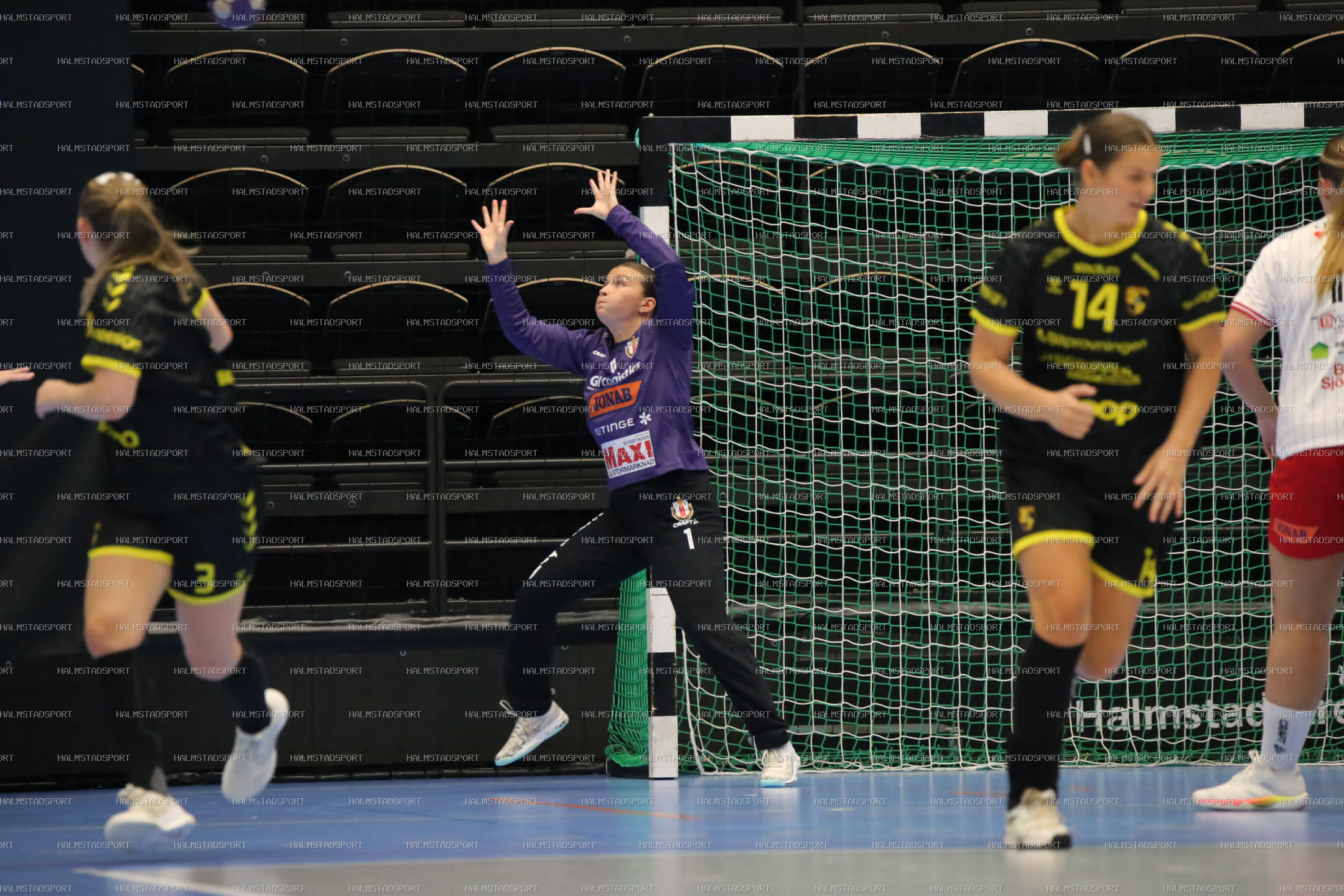HK Drott - Kärra HF · Foto: Halmstadsport
