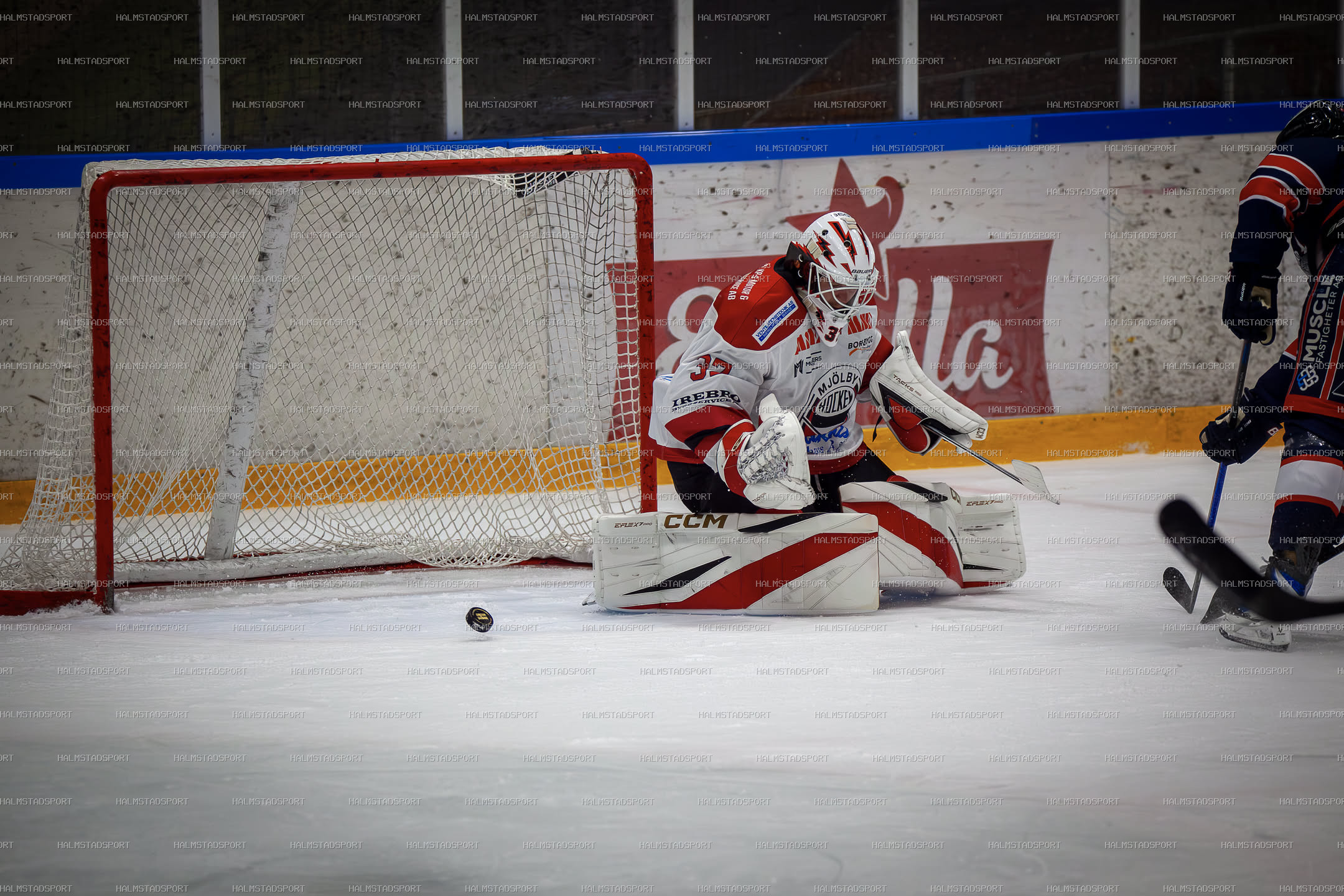 Halmstad Hammers - Mjölby HC · Foto: Halmstadsport