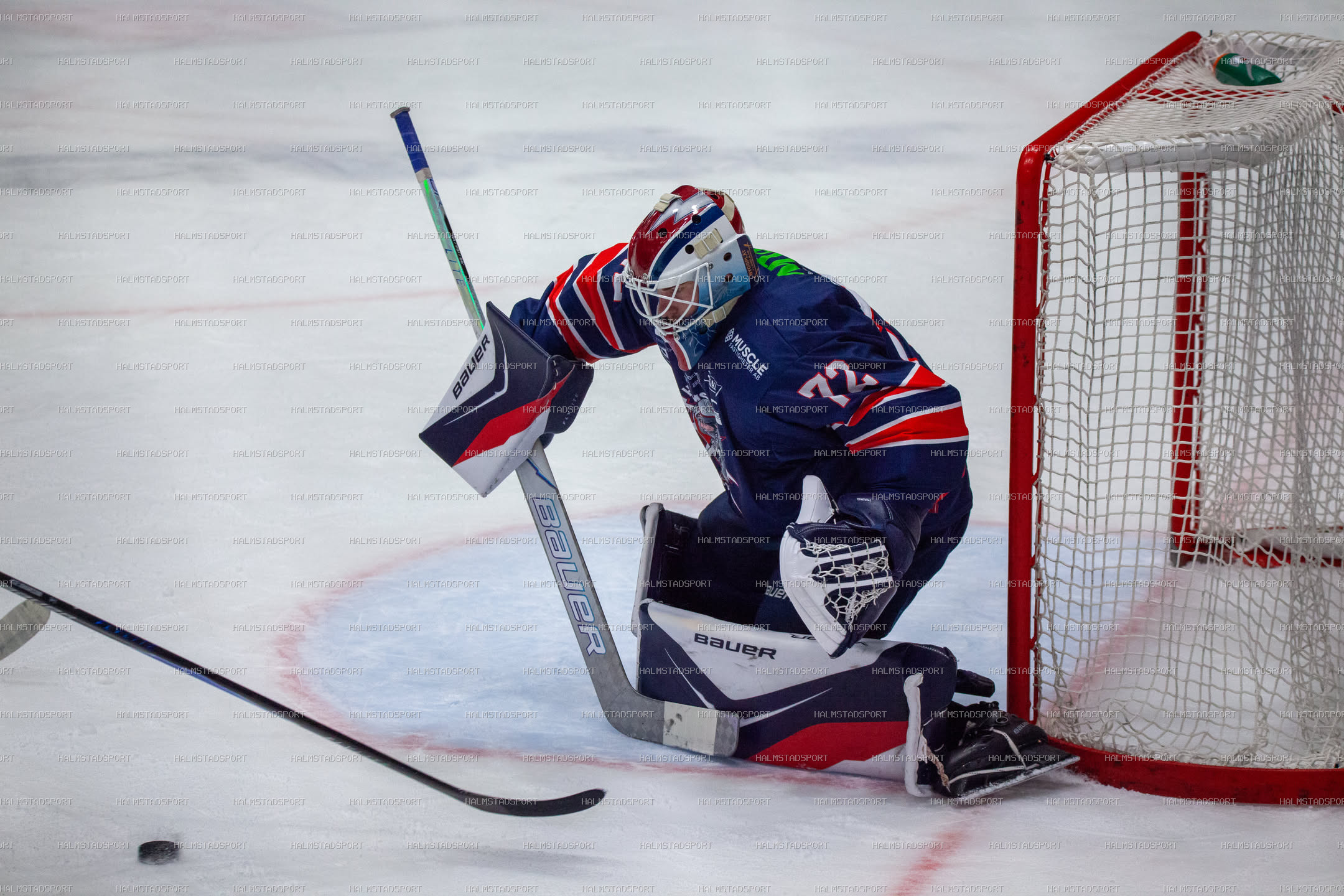 Halmstad Hammers - Västerviks IK · Foto: Halmstadsport