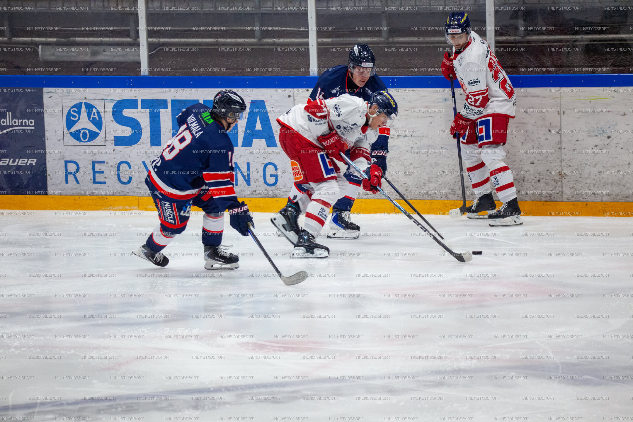 Halmstad Hammers - Västerviks IK · Foto: Halmstadsport