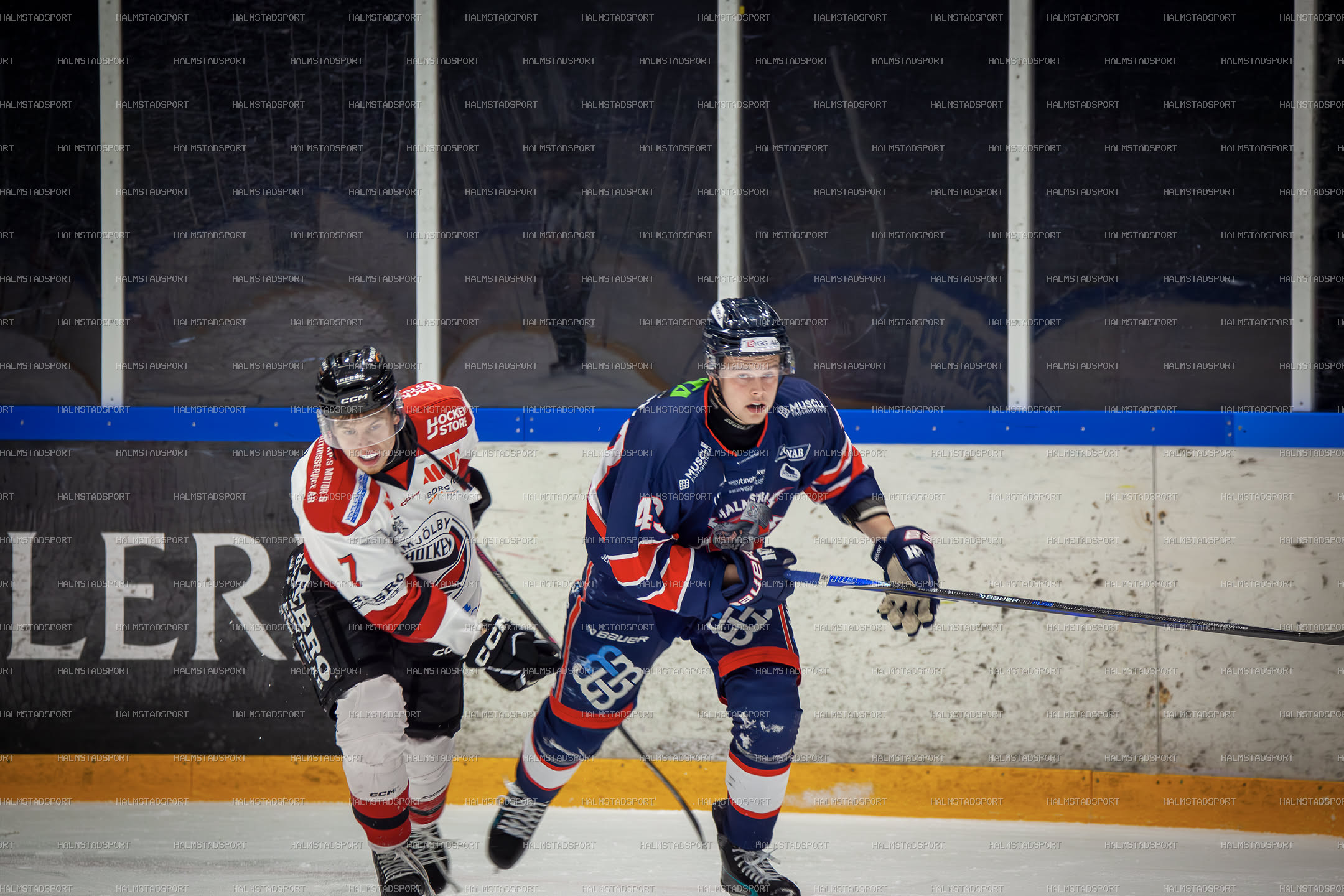 Halmstad Hammers - Mjölby HC · Foto: Halmstadsport