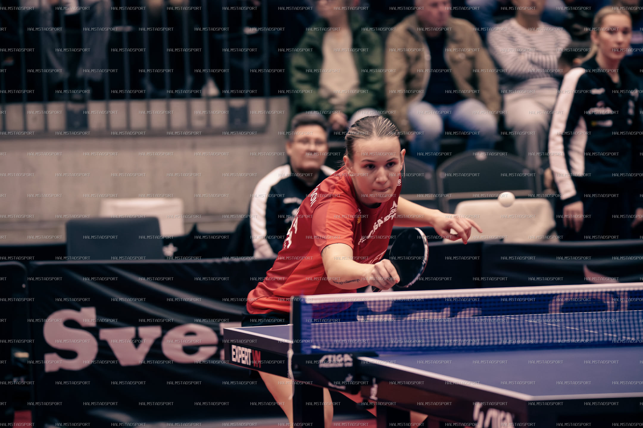 HBTK - Kosta · Foto: Halmstadsport