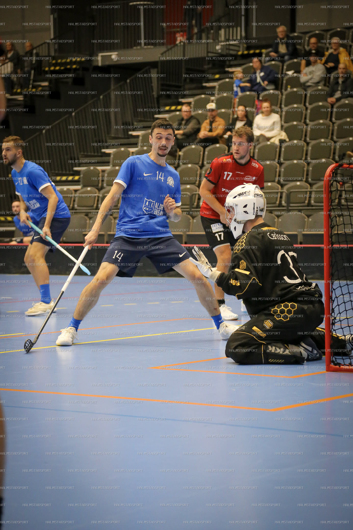 Halmstad Innebandy - Vinberg IBS · Foto: Halmstadsport