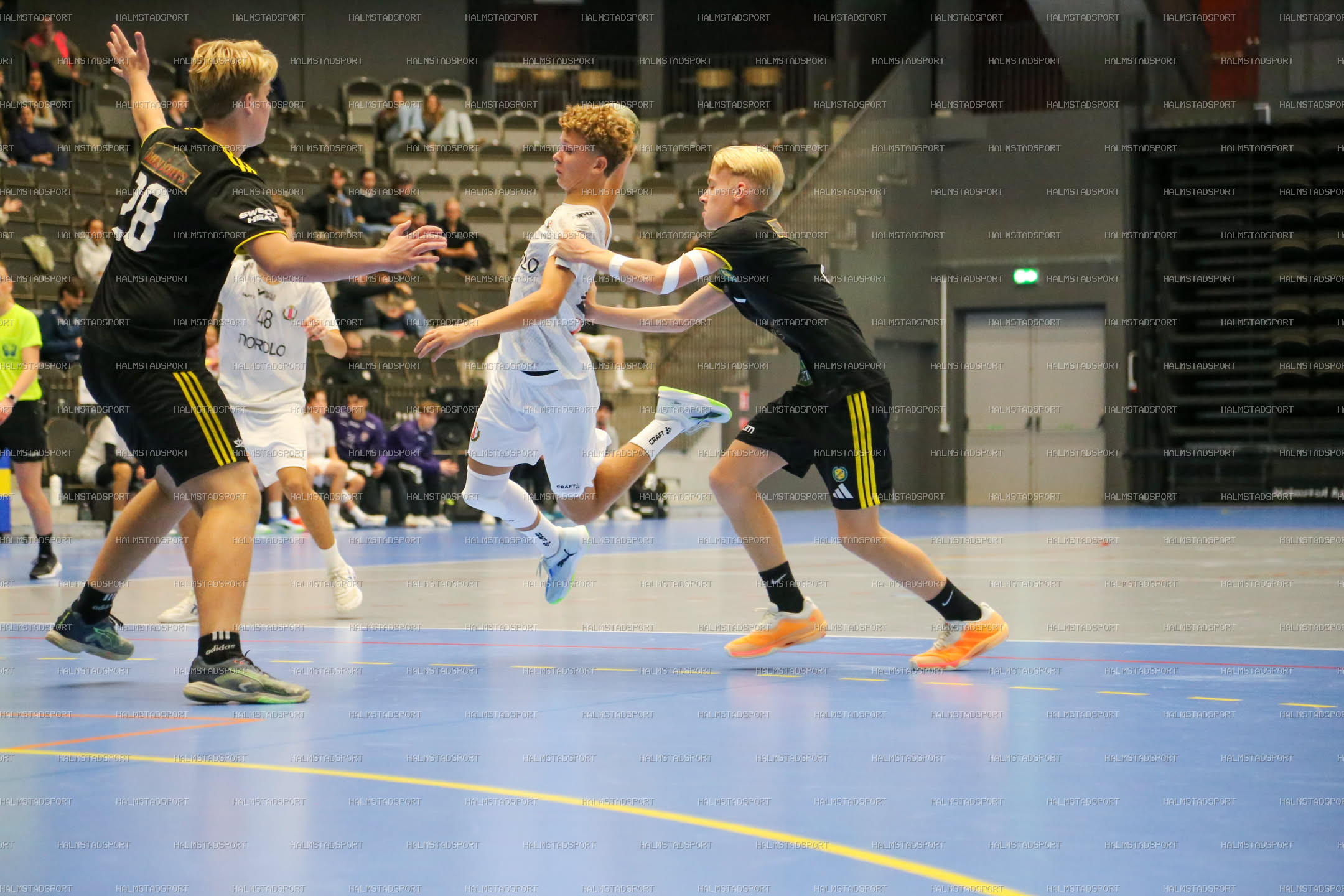 HK Drott - IK Sävehof · Foto: Halmstadsport