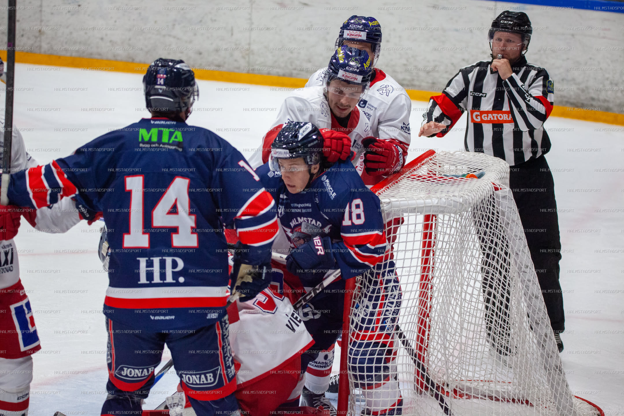 Halmstad Hammers - Västerviks IK · Foto: Halmstadsport