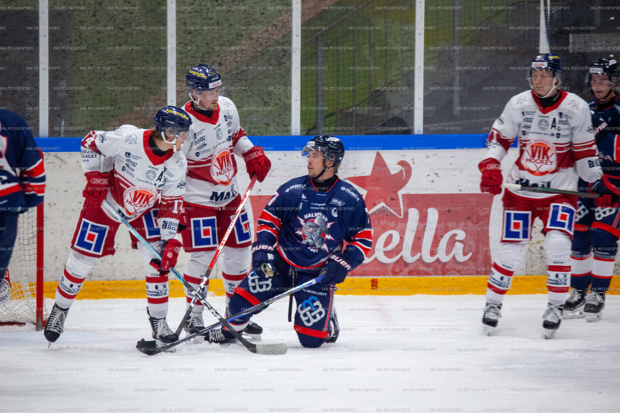 Halmstad Hammers - Västerviks IK · Foto: Halmstadsport