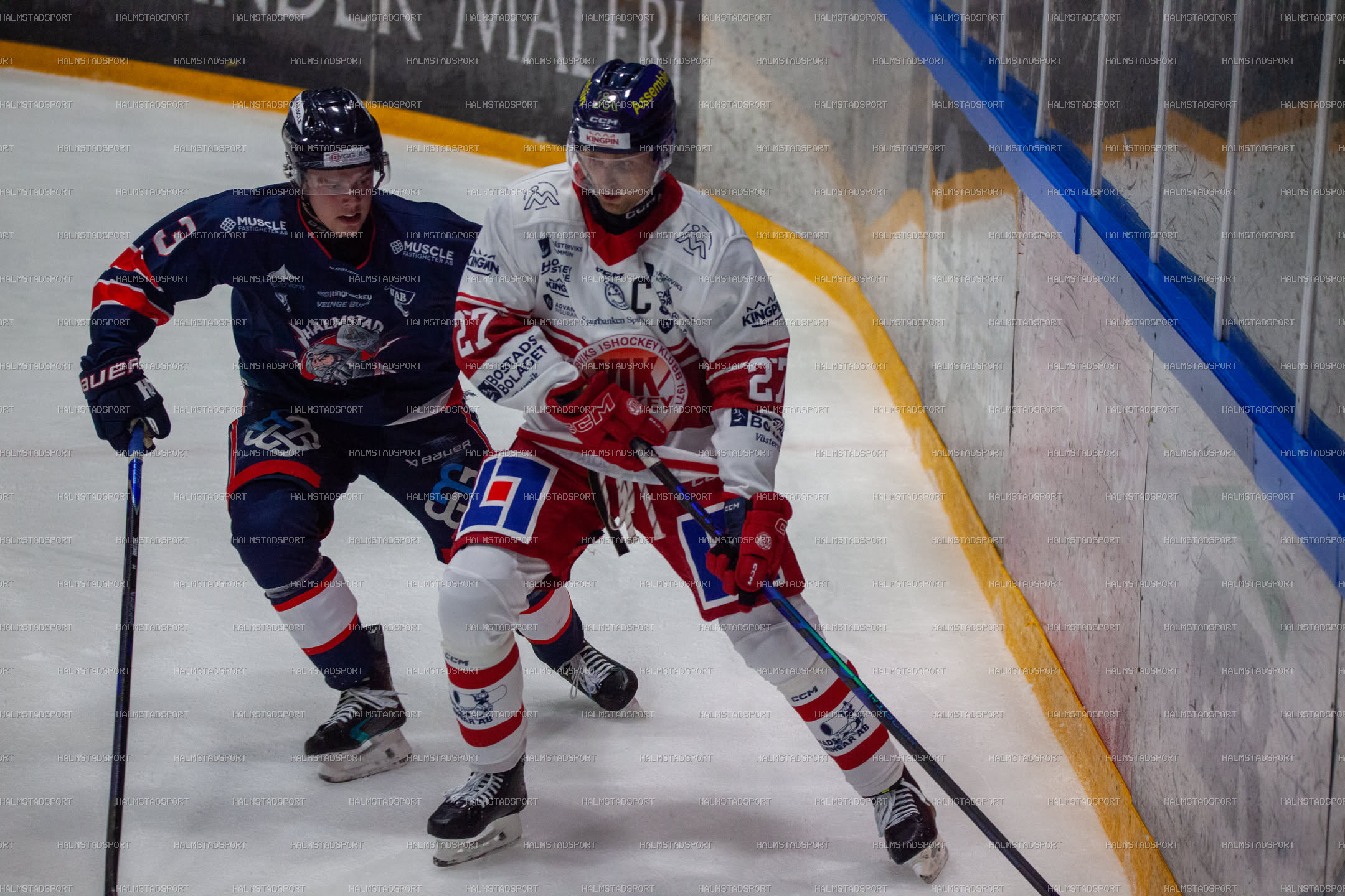 Halmstad Hammers - Västerviks IK · Foto: Halmstadsport