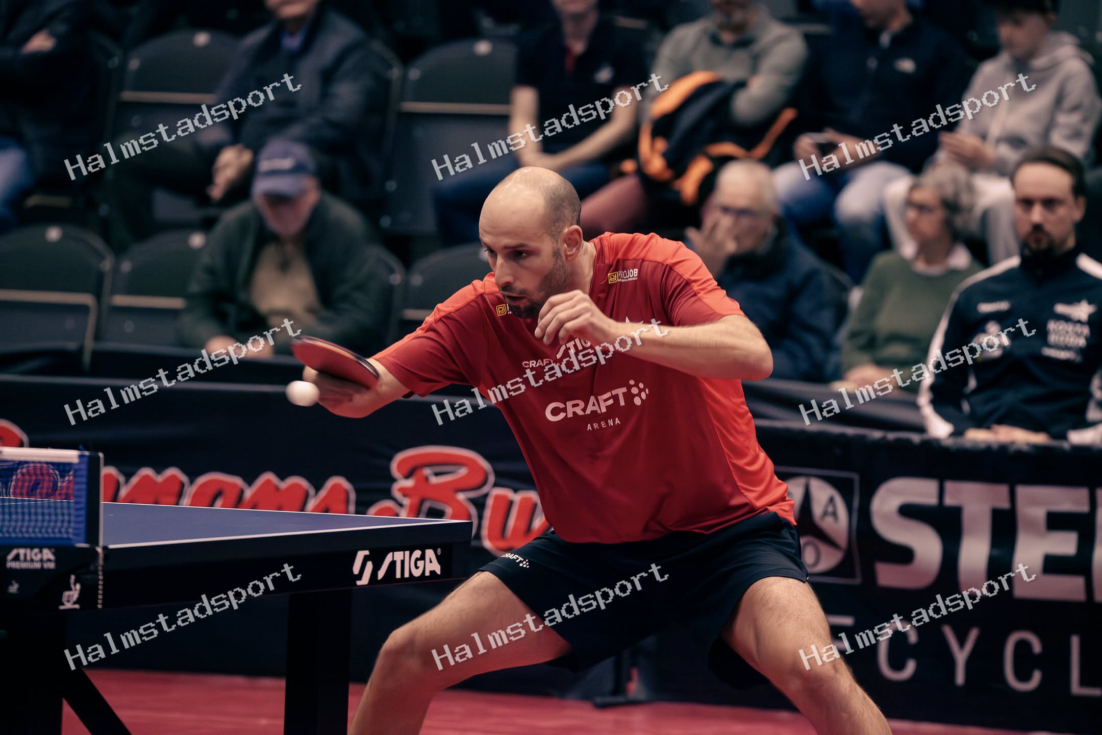 HBTK - Kosta · Foto: Halmstadsport