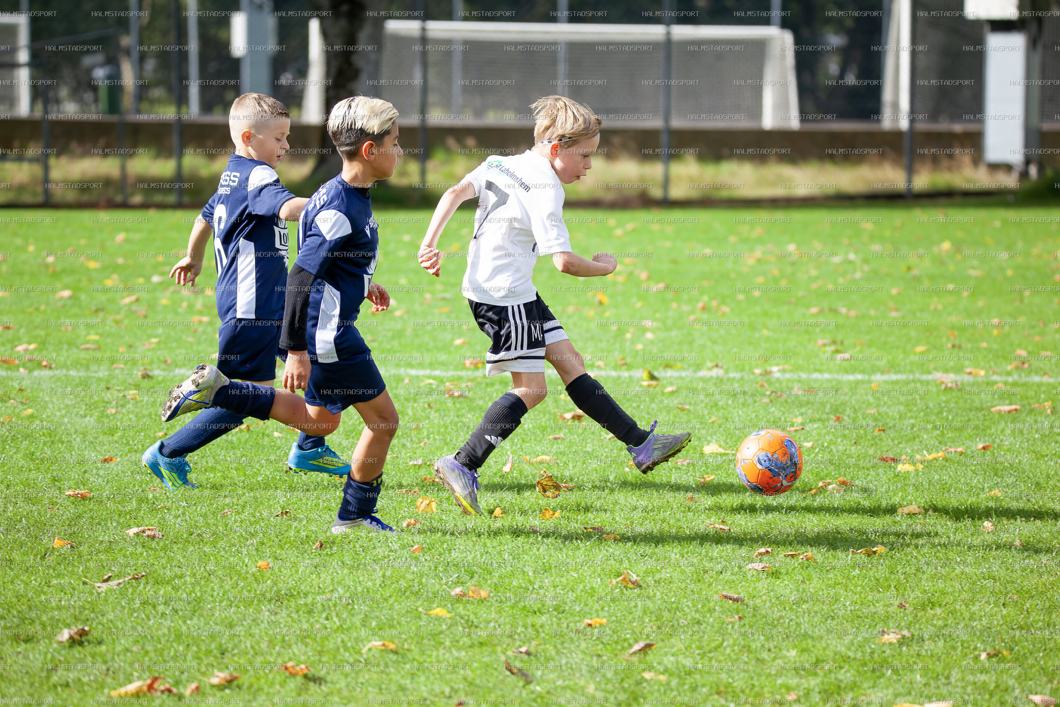 Leikin 8 · Foto: Halmstadsport