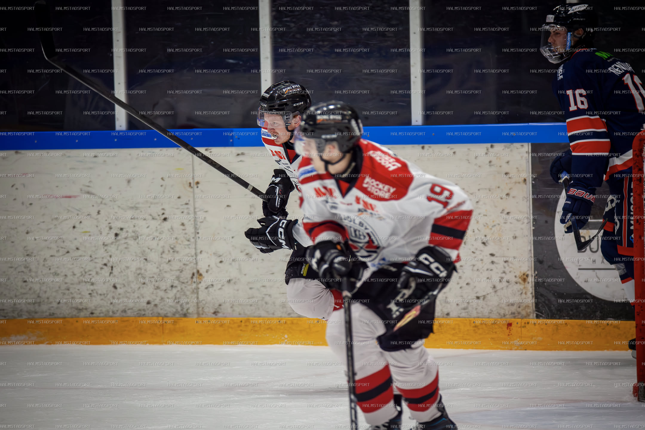 Halmstad Hammers - Mjölby HC · Foto: Halmstadsport