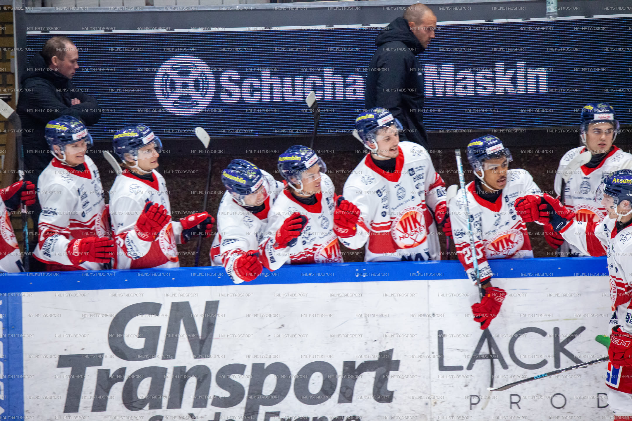Halmstad Hammers - Västerviks IK · Foto: Halmstadsport
