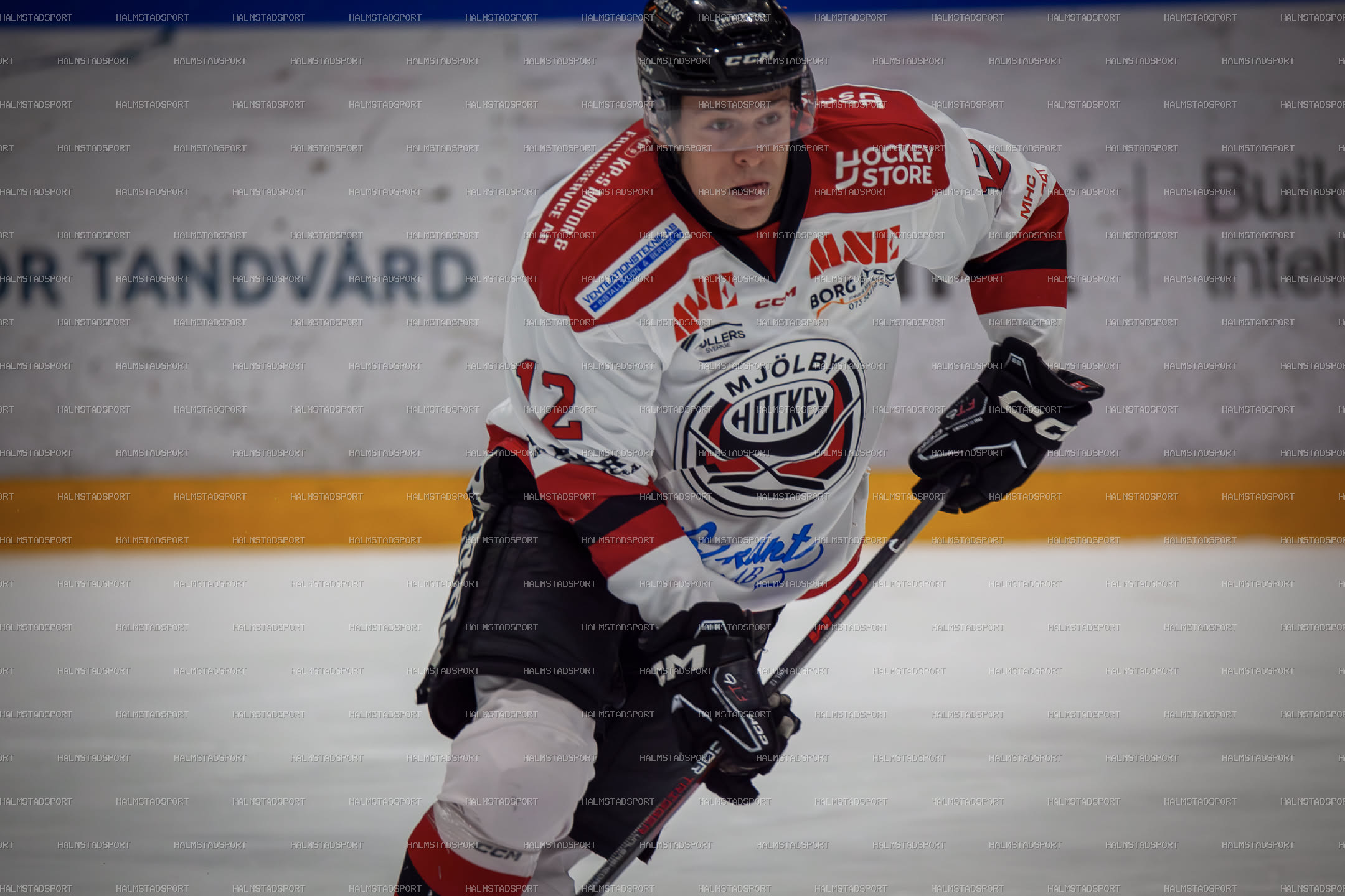 Halmstad Hammers - Mjölby HC · Foto: Halmstadsport
