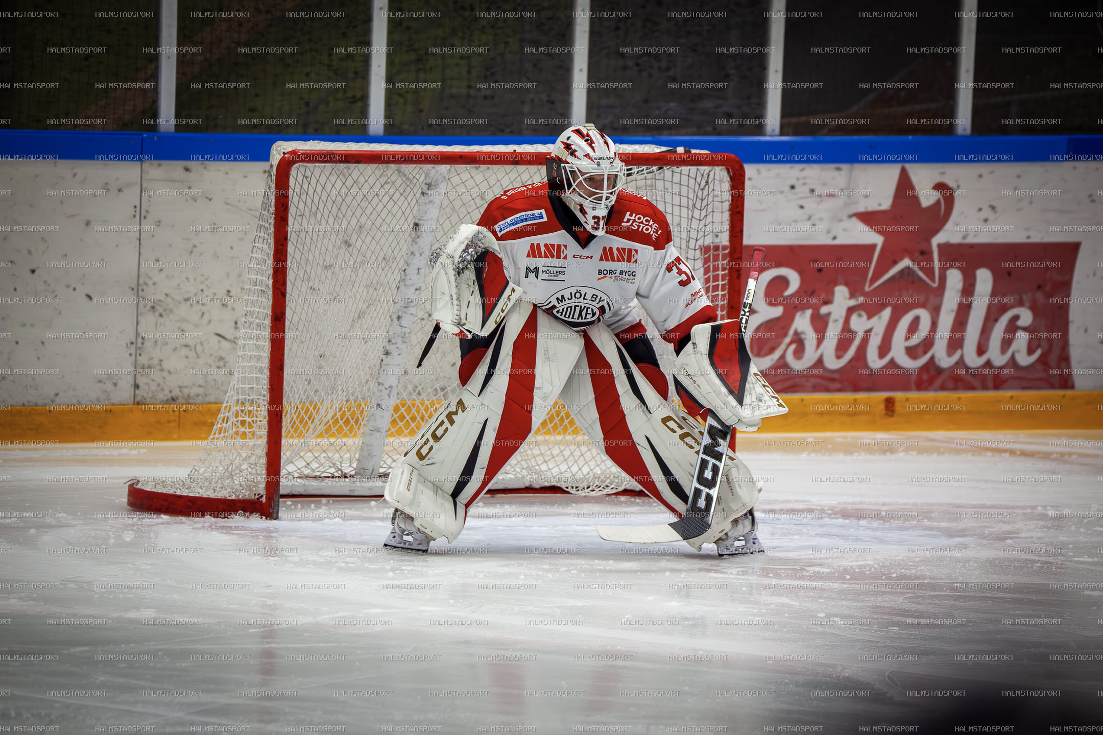Halmstad Hammers - Mjölby HC · Foto: Halmstadsport