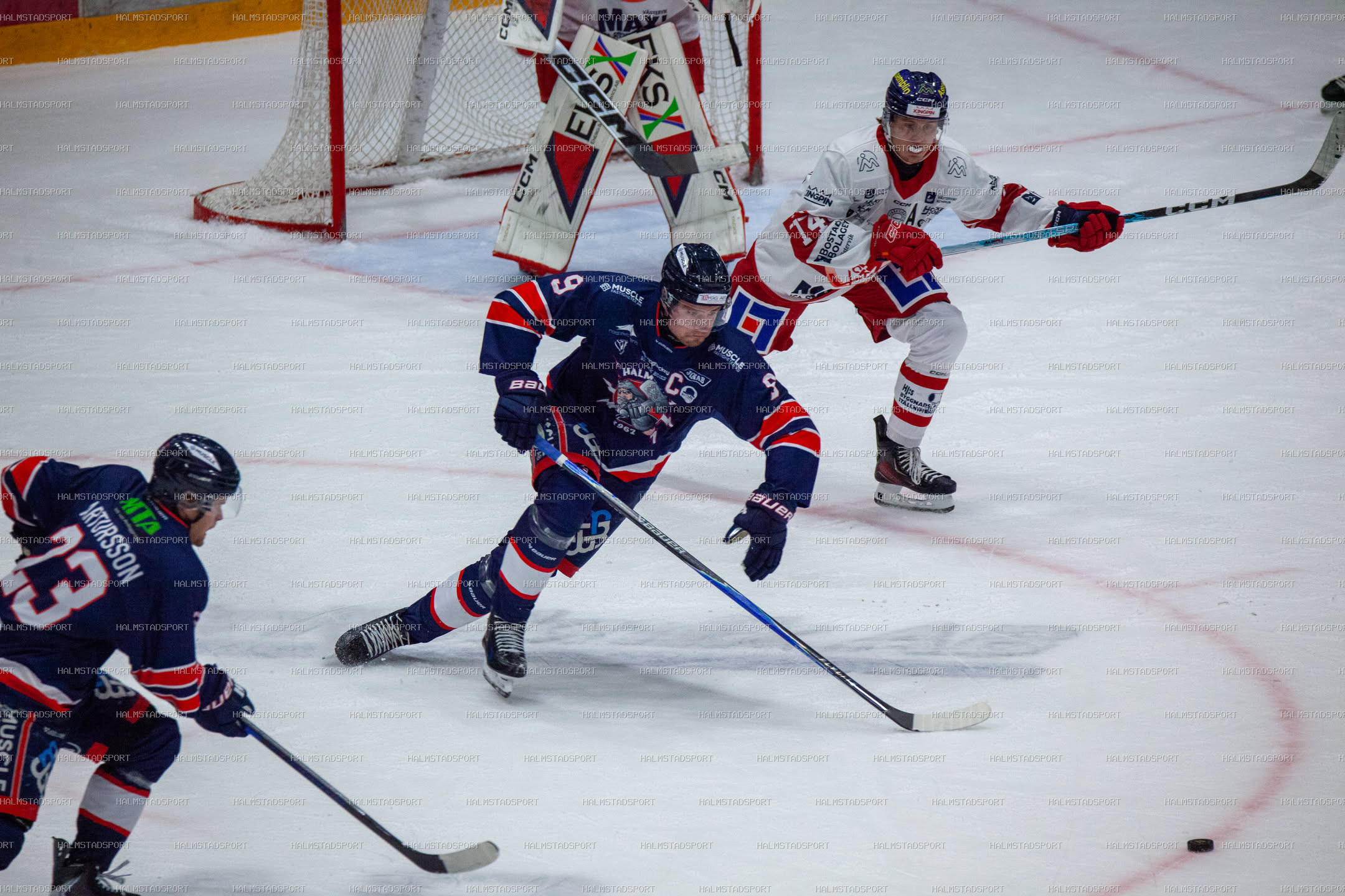 Halmstad Hammers - Västerviks IK · Foto: Halmstadsport