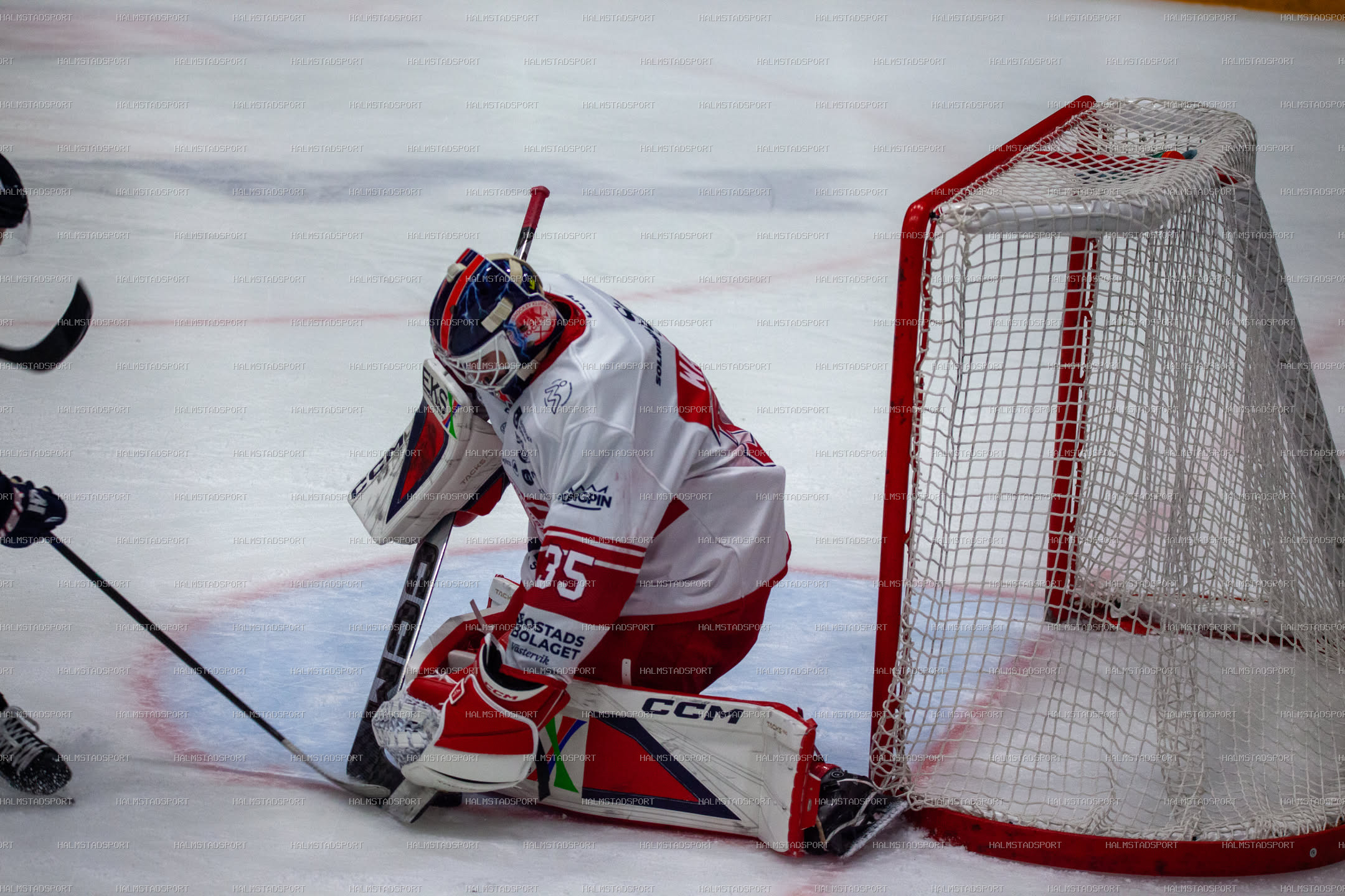 Halmstad Hammers - Västerviks IK · Foto: Halmstadsport