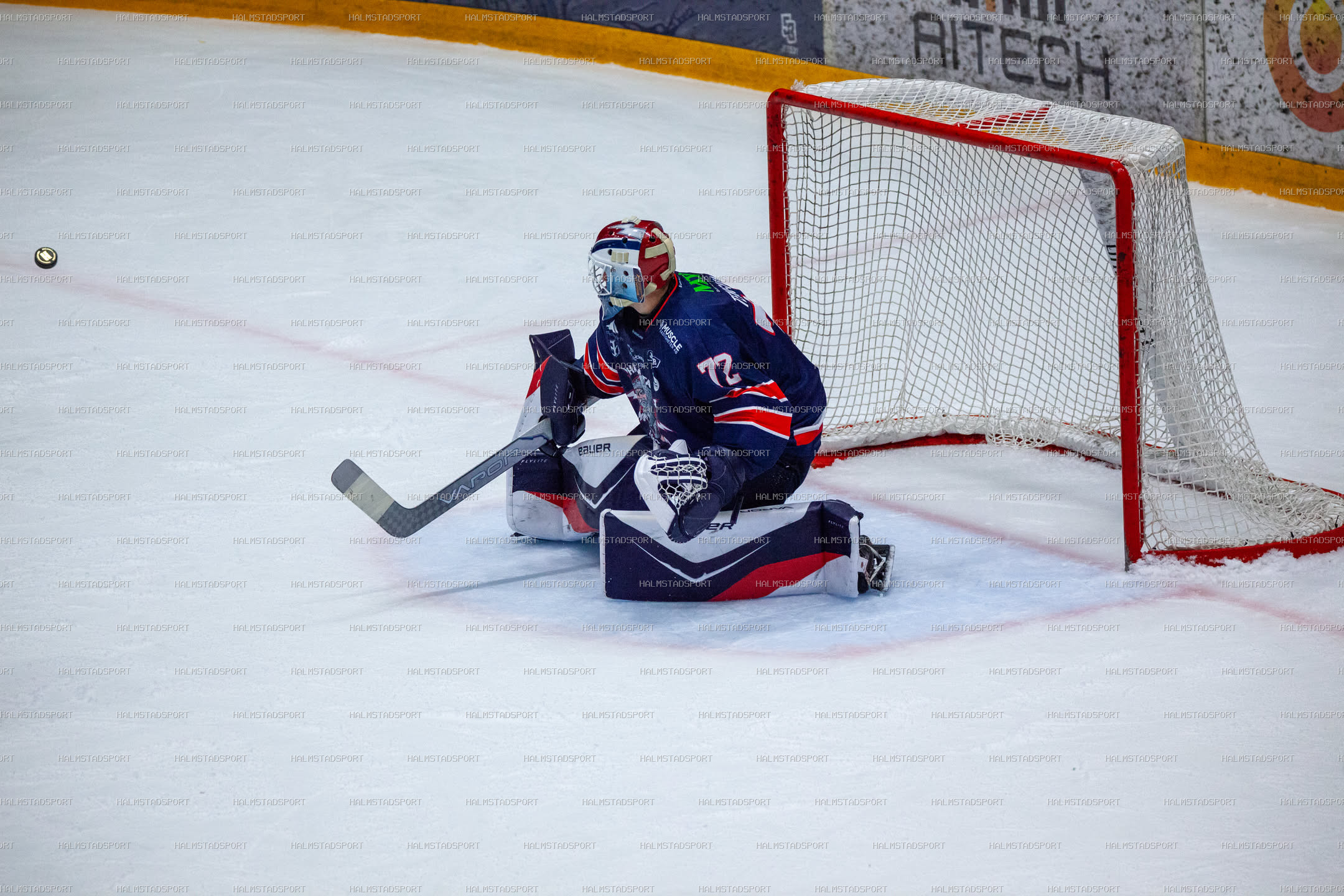 Halmstad Hammers - Västerviks IK · Foto: Halmstadsport