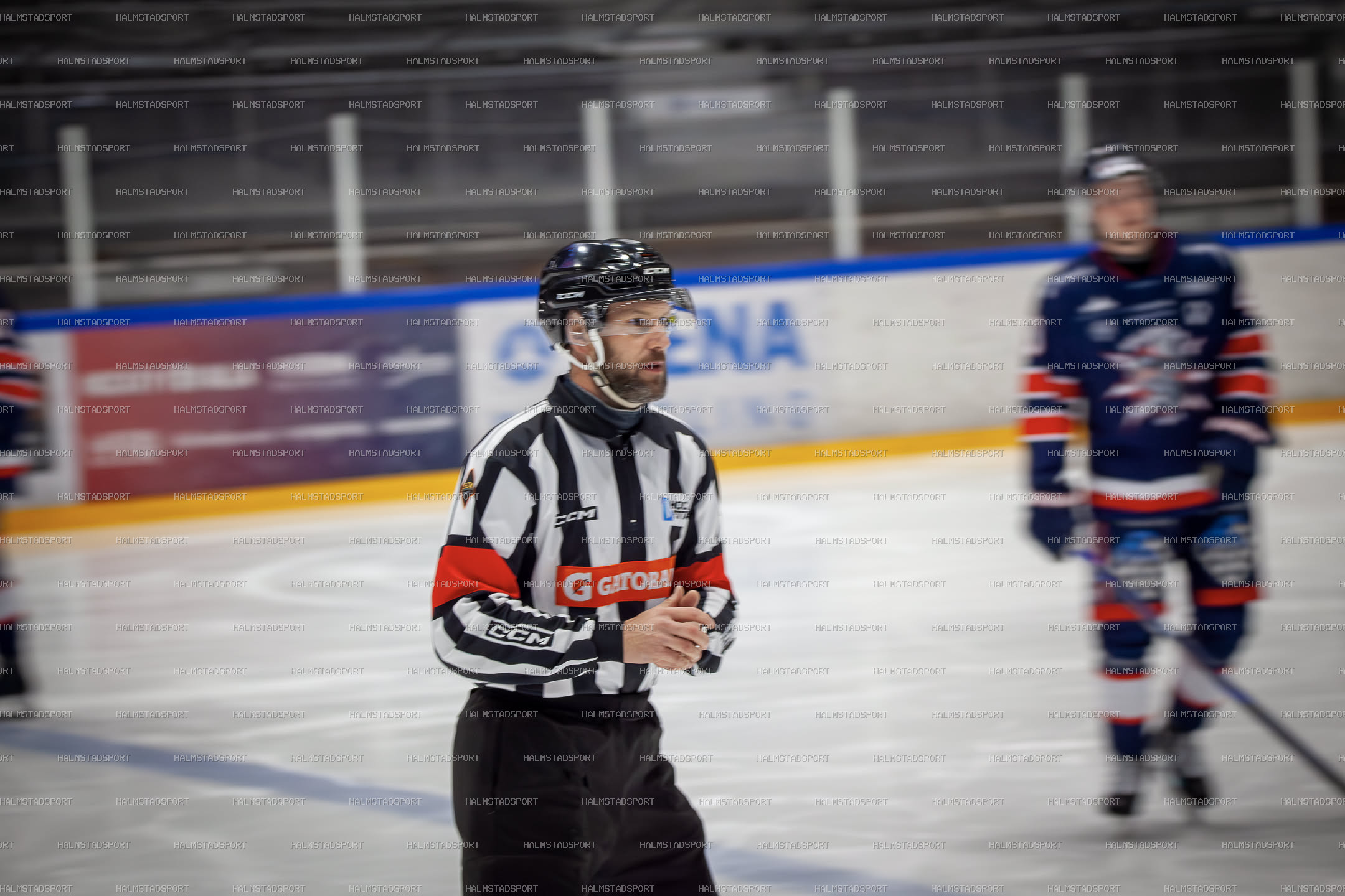 Halmstad Hammers - Mjölby HC · Foto: Halmstadsport