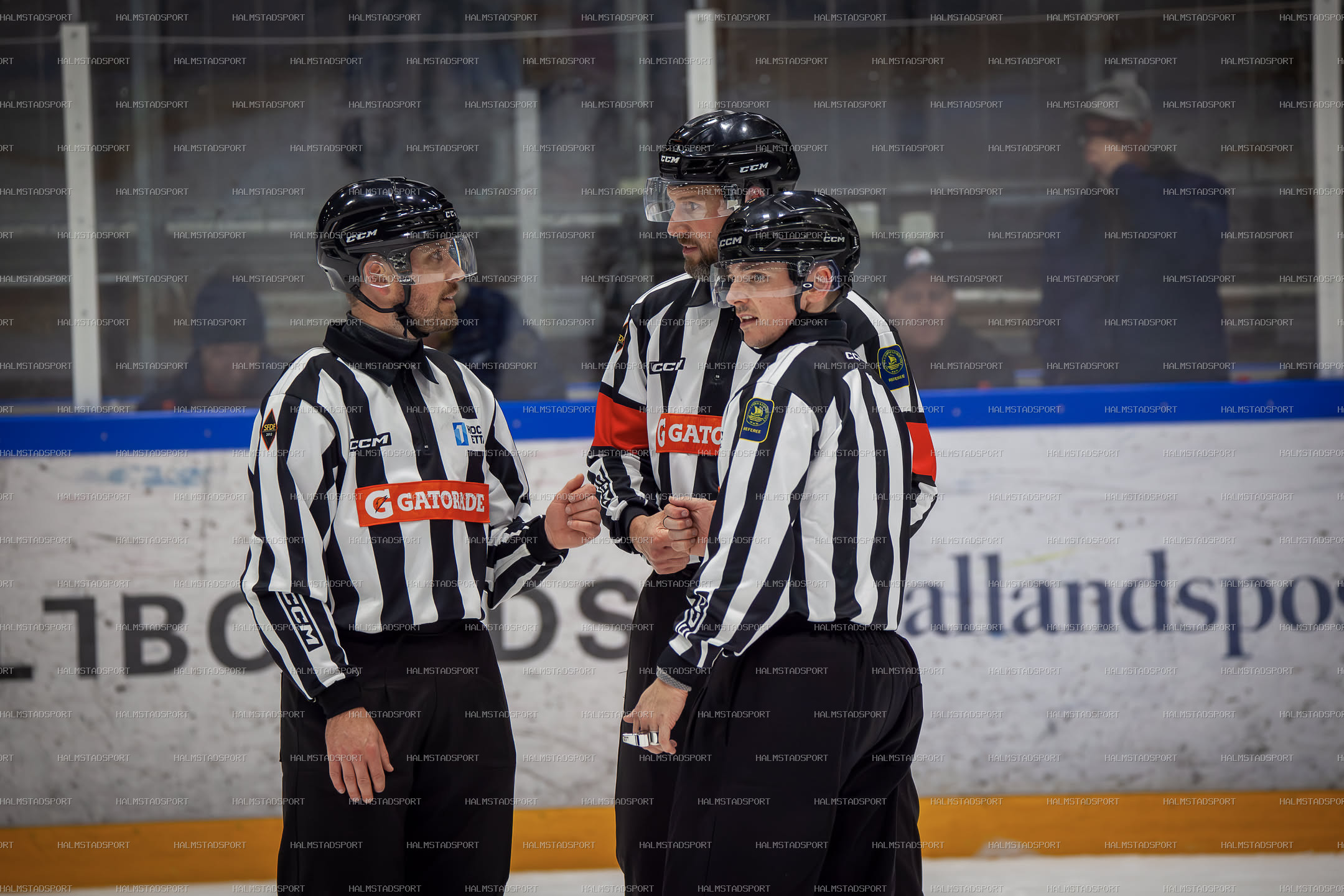 Halmstad Hammers - Mjölby HC · Foto: Halmstadsport