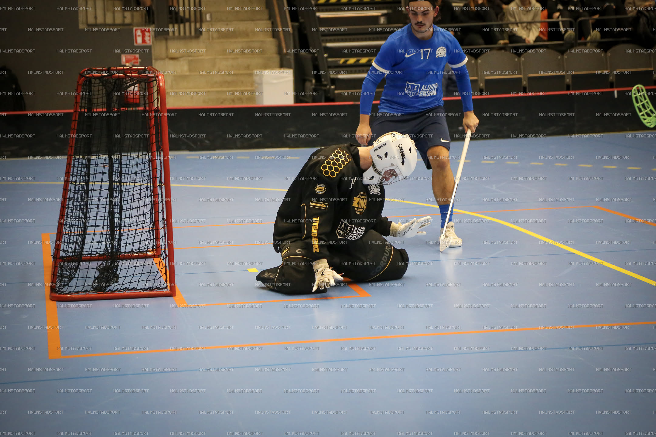 Halmstad Innebandy - Vinberg IBS · Foto: Halmstadsport