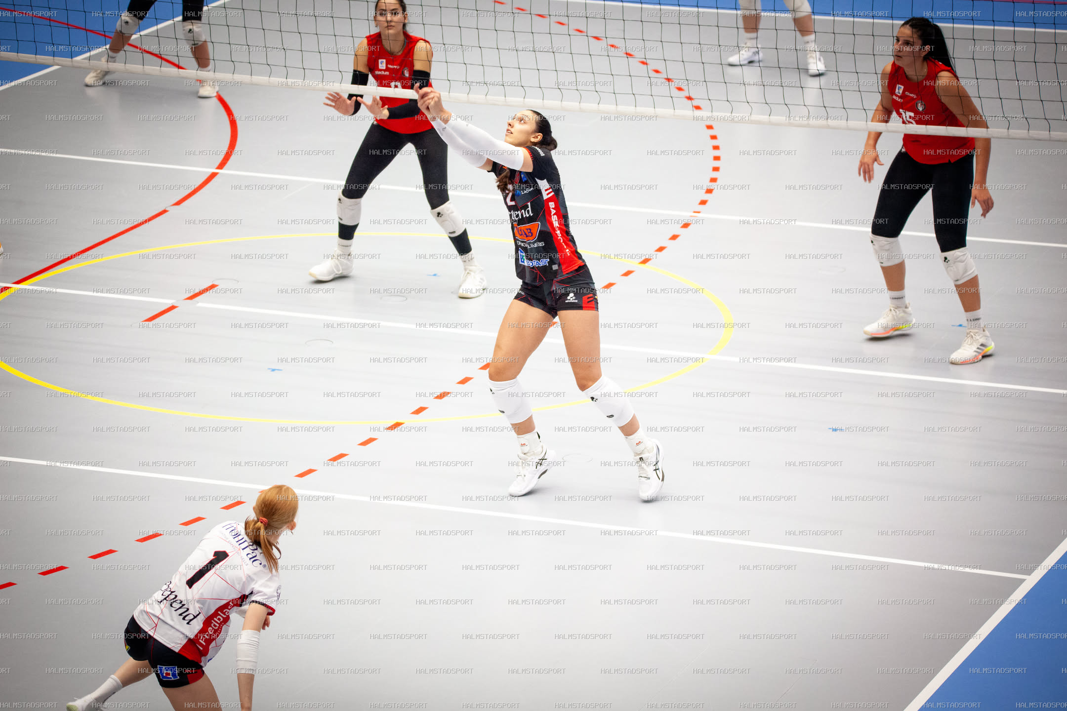 Hylte / Halmstad - Lunds VS Dam · Foto: Halmstadsport
